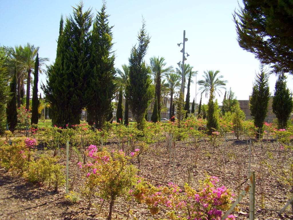 Parque de Zafra, por Lala