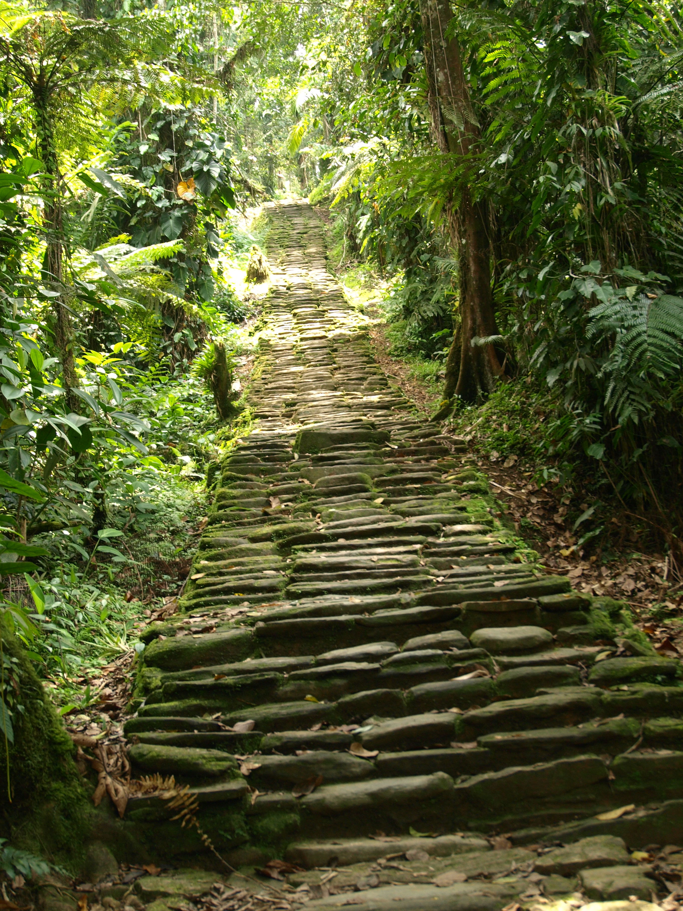 Trekking Ciudad Perdida, por Carlos Olmo