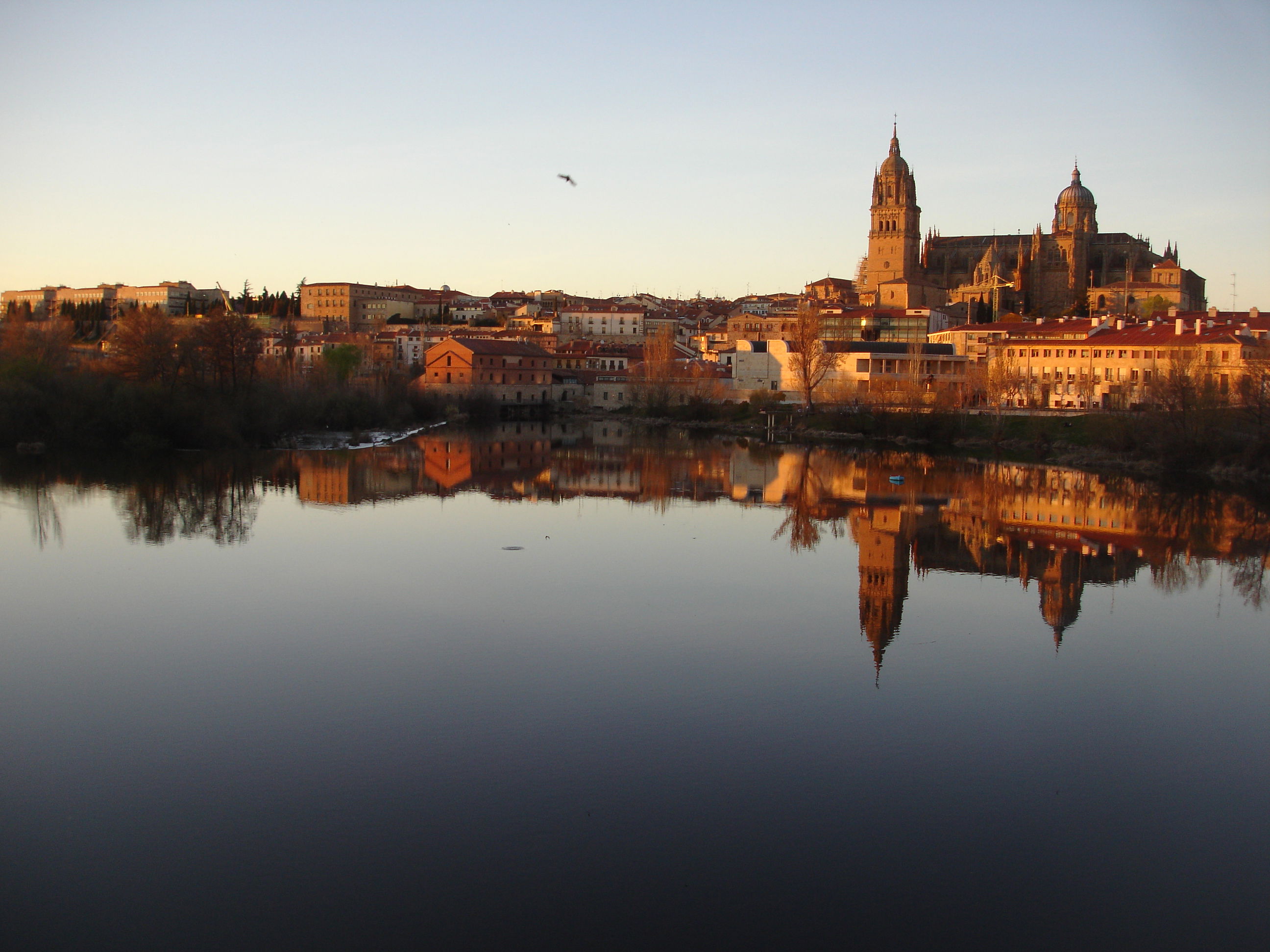 Ríos en Salamanca: belleza natural que invita a descubrirlos