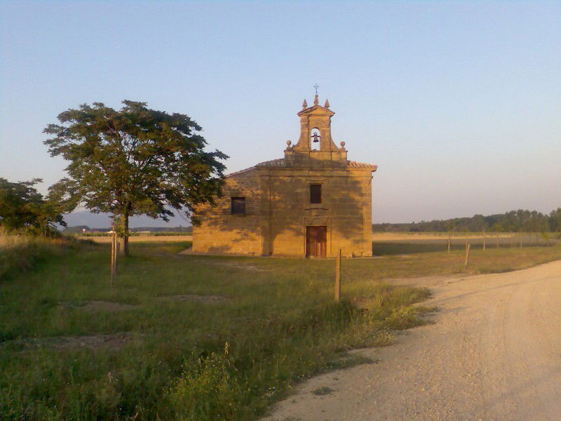 Viñedos de Cihuri, por Lonifasiko
