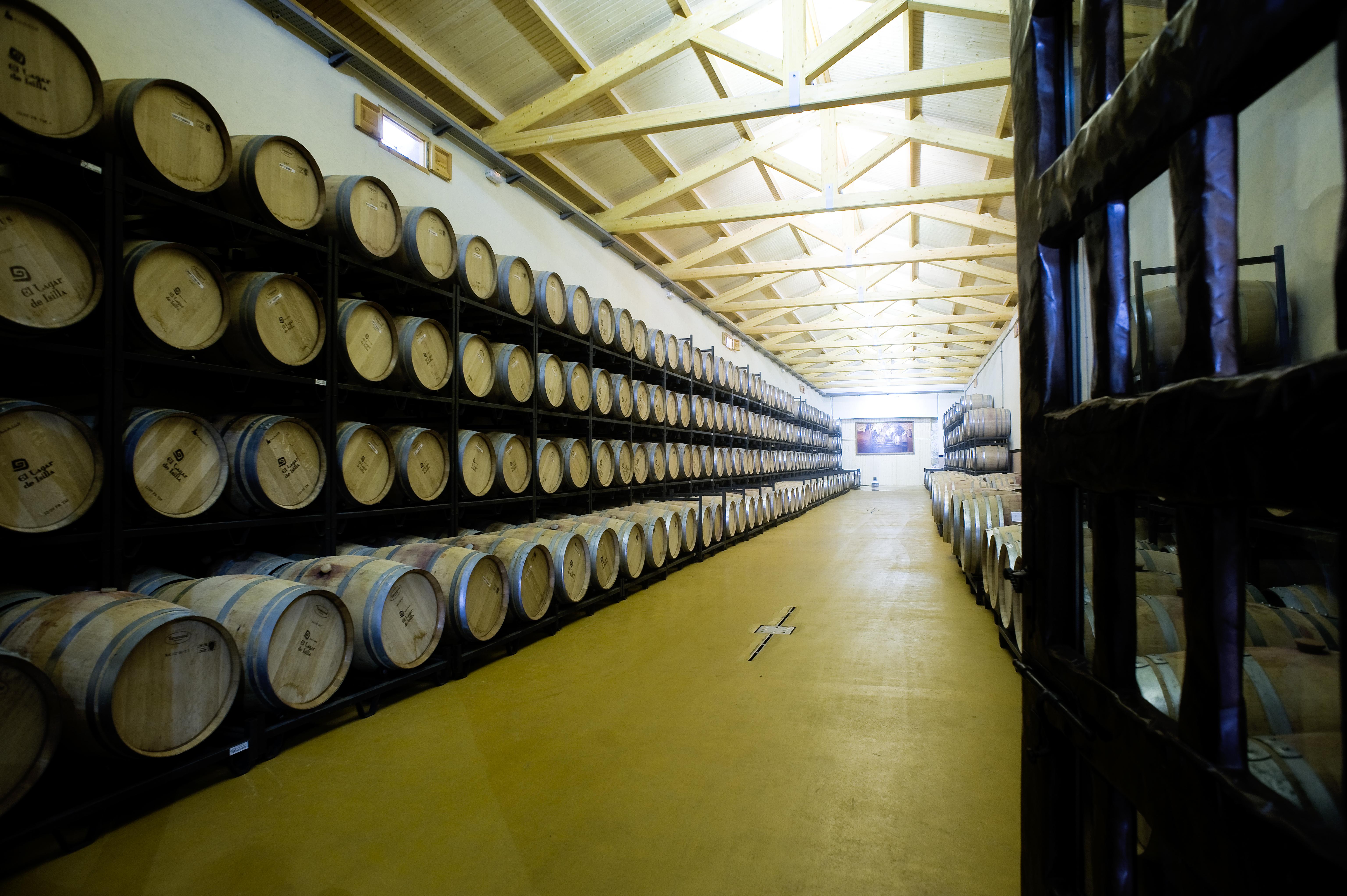 Descubre las bodegas en Aranda de Duero y su riqueza vinícola