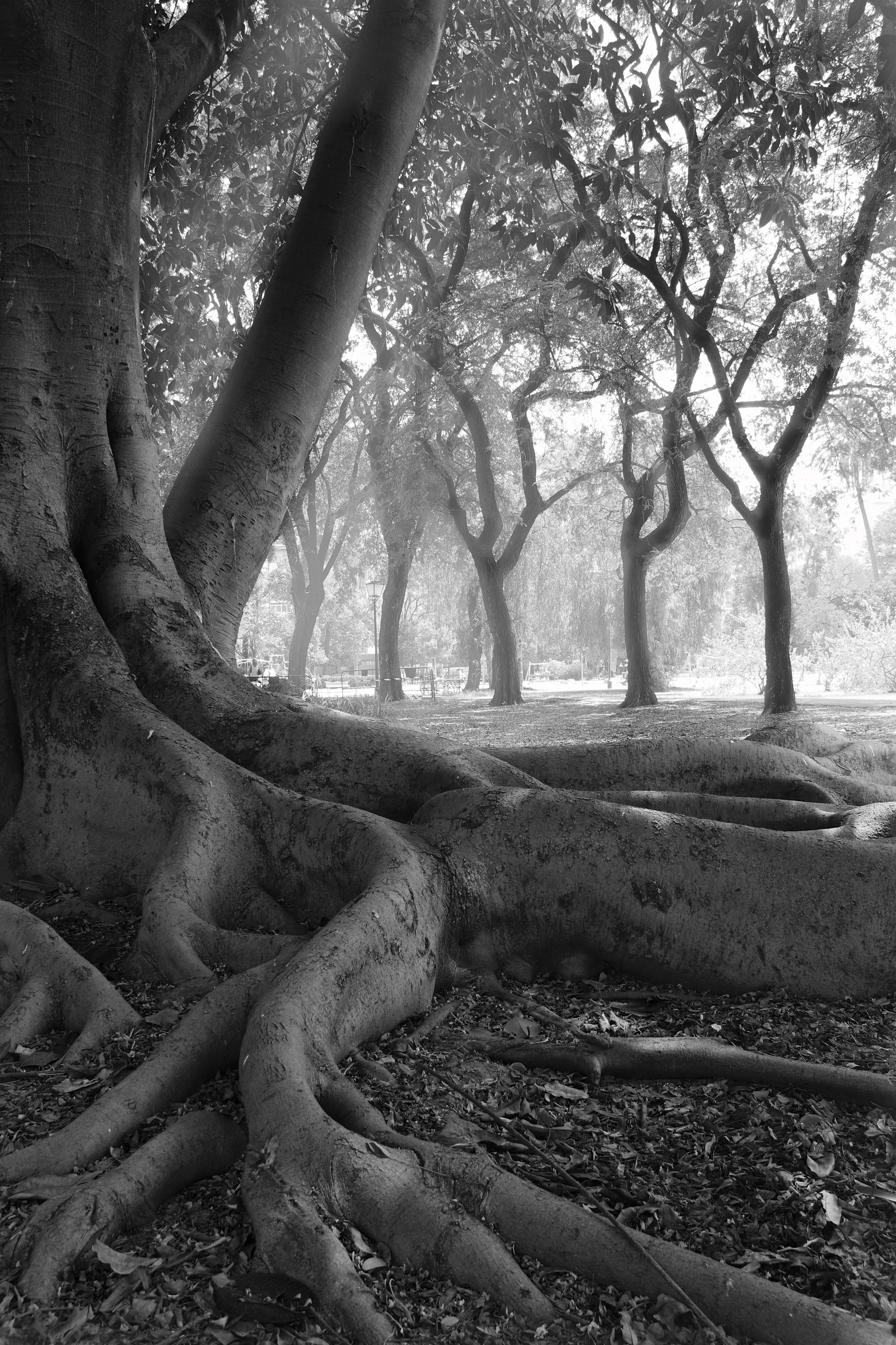 Parque de los Príncipes en Sevilla, por Jesus Sanchez Gonzalez (Zu Sanchez)