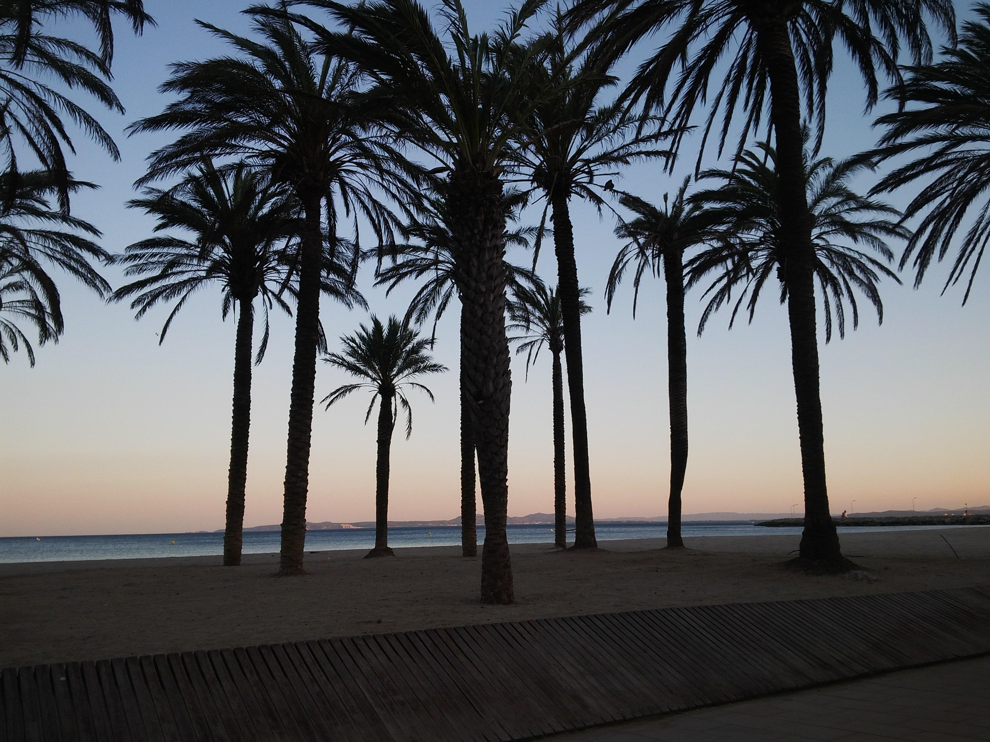 Passeig Maritim Santa Margarida, por María José Morr