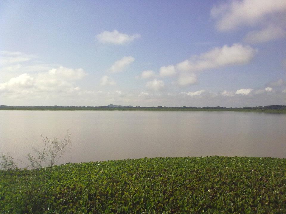 Ciénaga Las Macanas y Parque Nacional Sarigua, por Panamá: abundancia de peces, mariposas, flores 