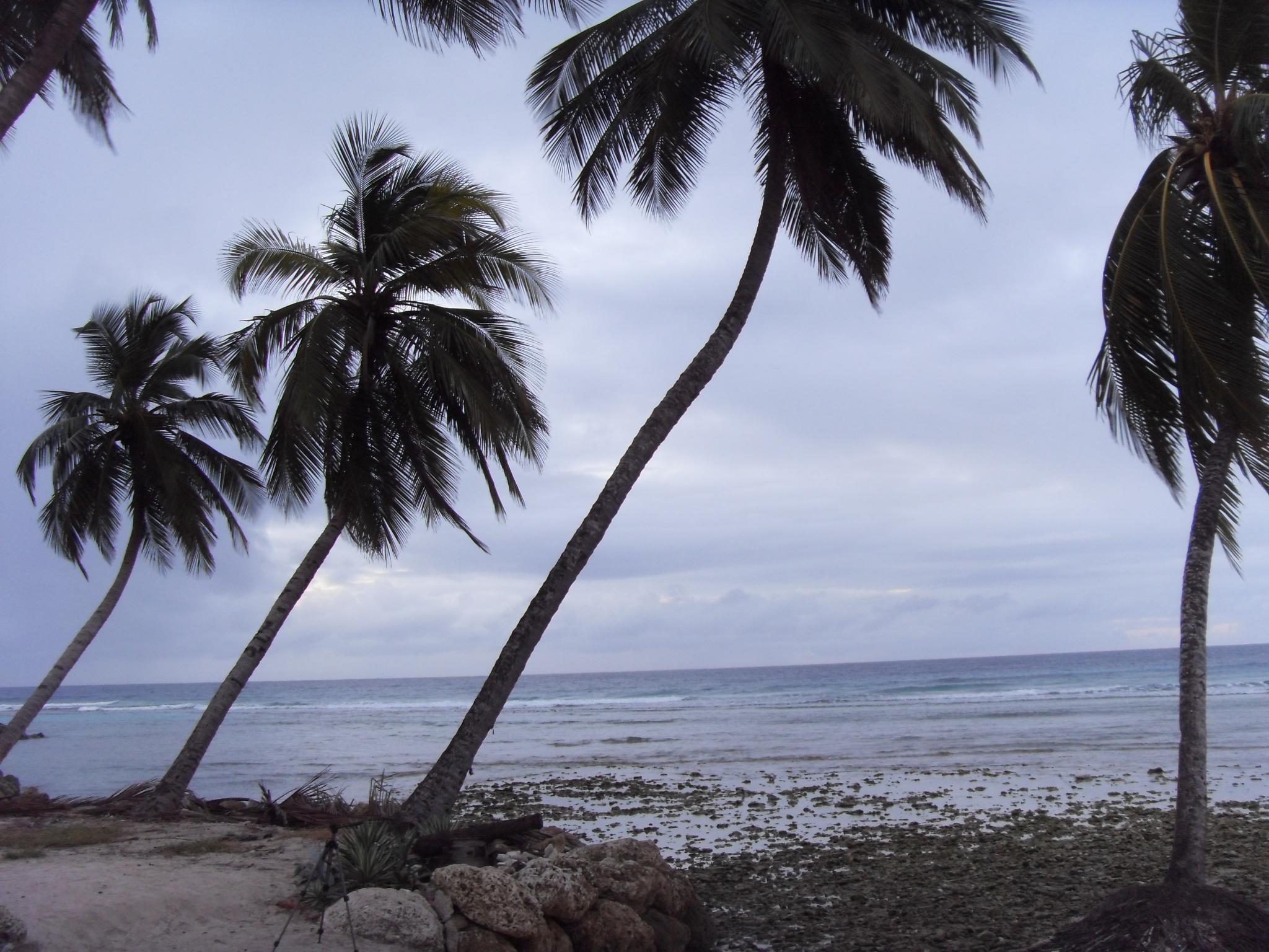 Coconut Court Beach, por Rafael Blando