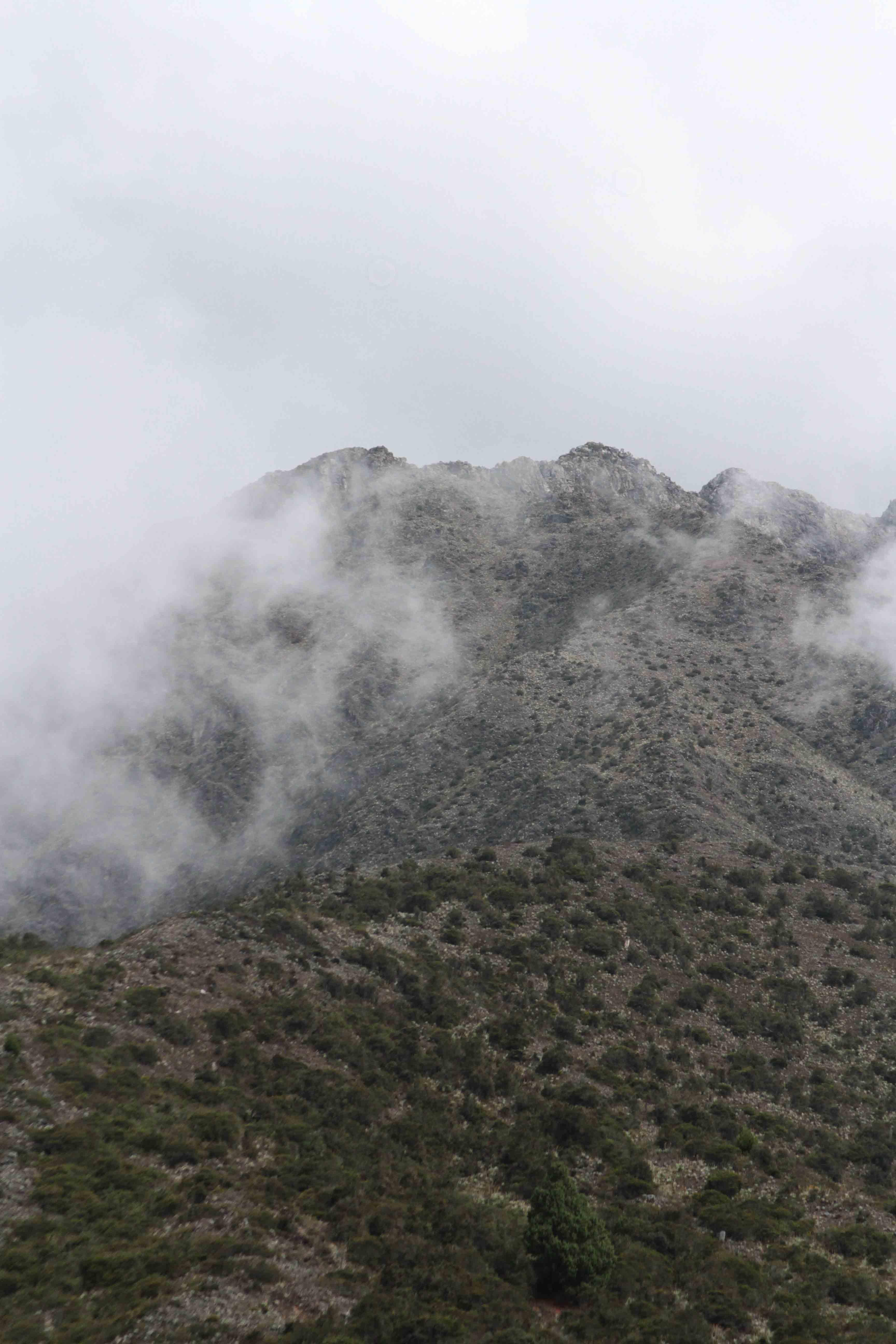 Explora los valles de Venezuela y descubre su belleza natural