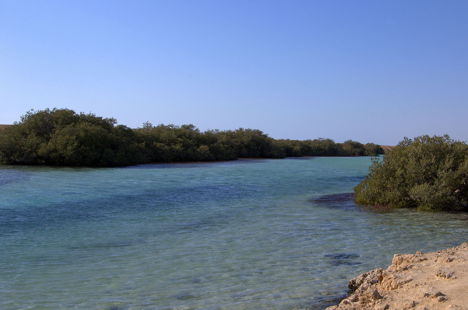 Parque nacional Ras Muhammad, por patrick