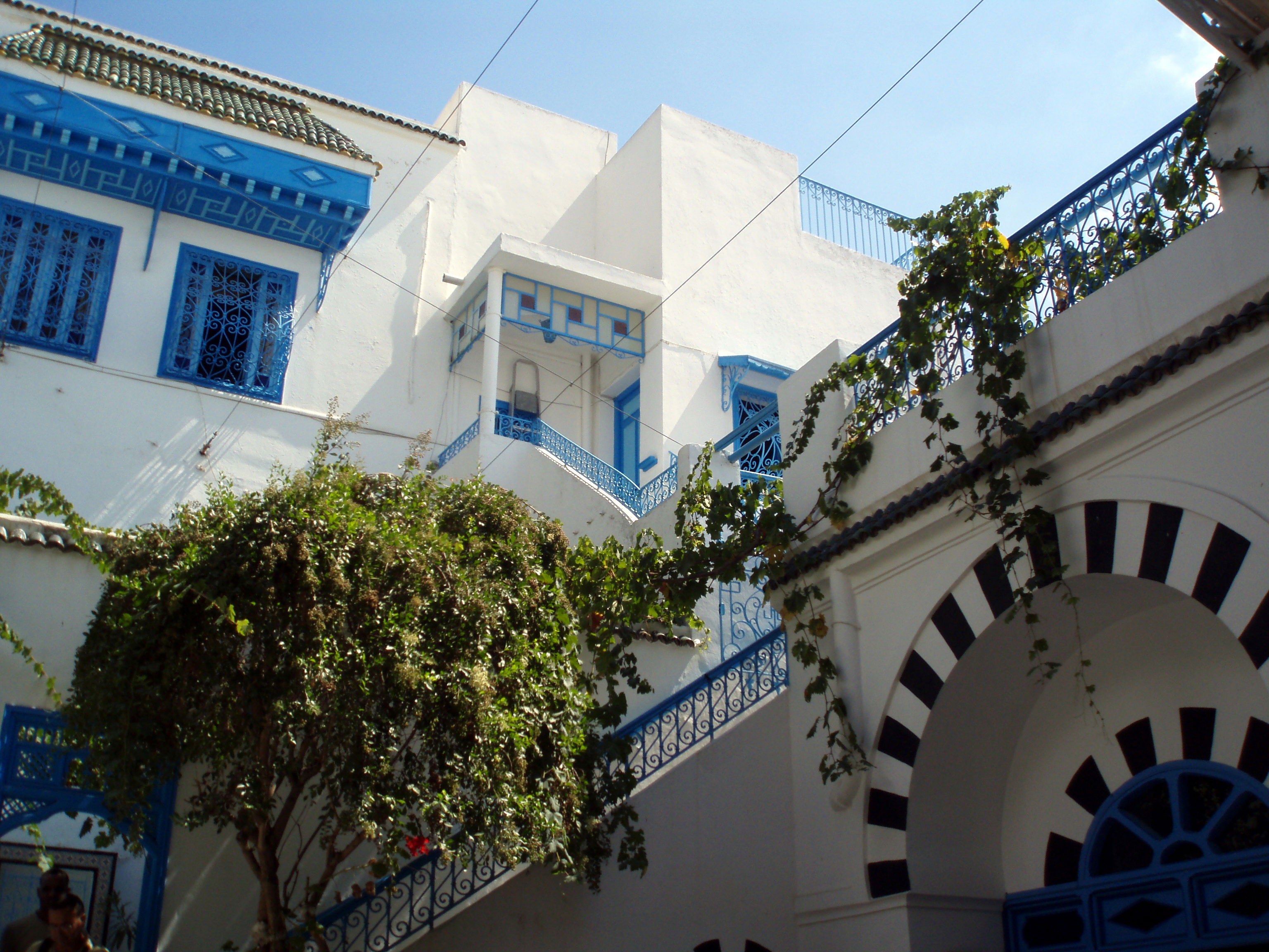 Miradores en Sidi Bou Said que te sorprenderán y enamorarán