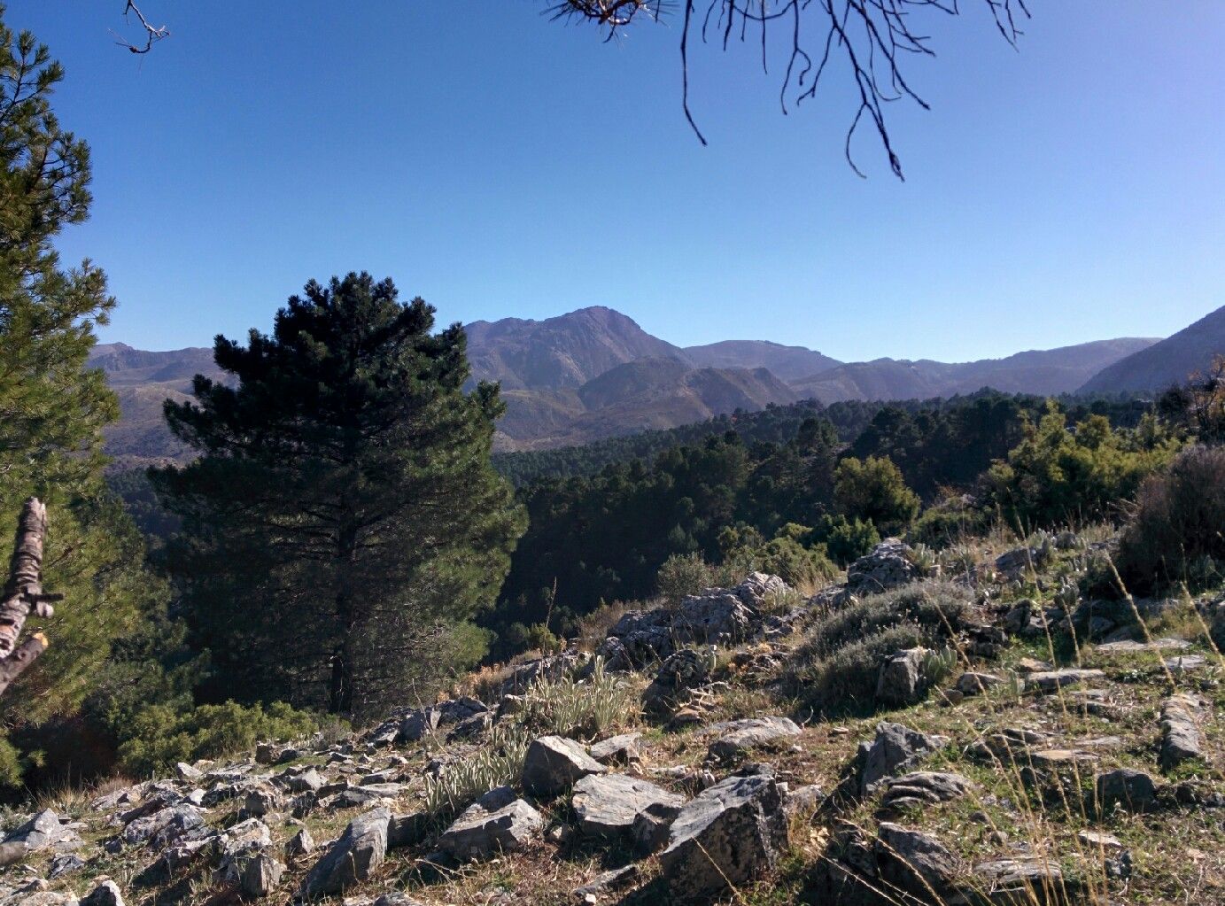 Senderos de Salares ( Sierra Almijara ), por Da Ja Mar Martínez