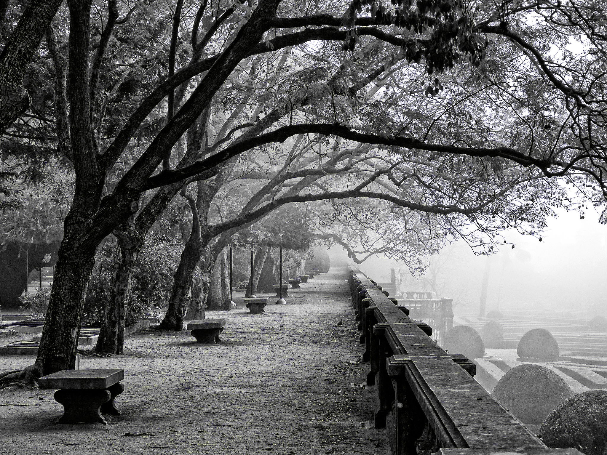 Jardín Botánico de Ajuda, por angel
