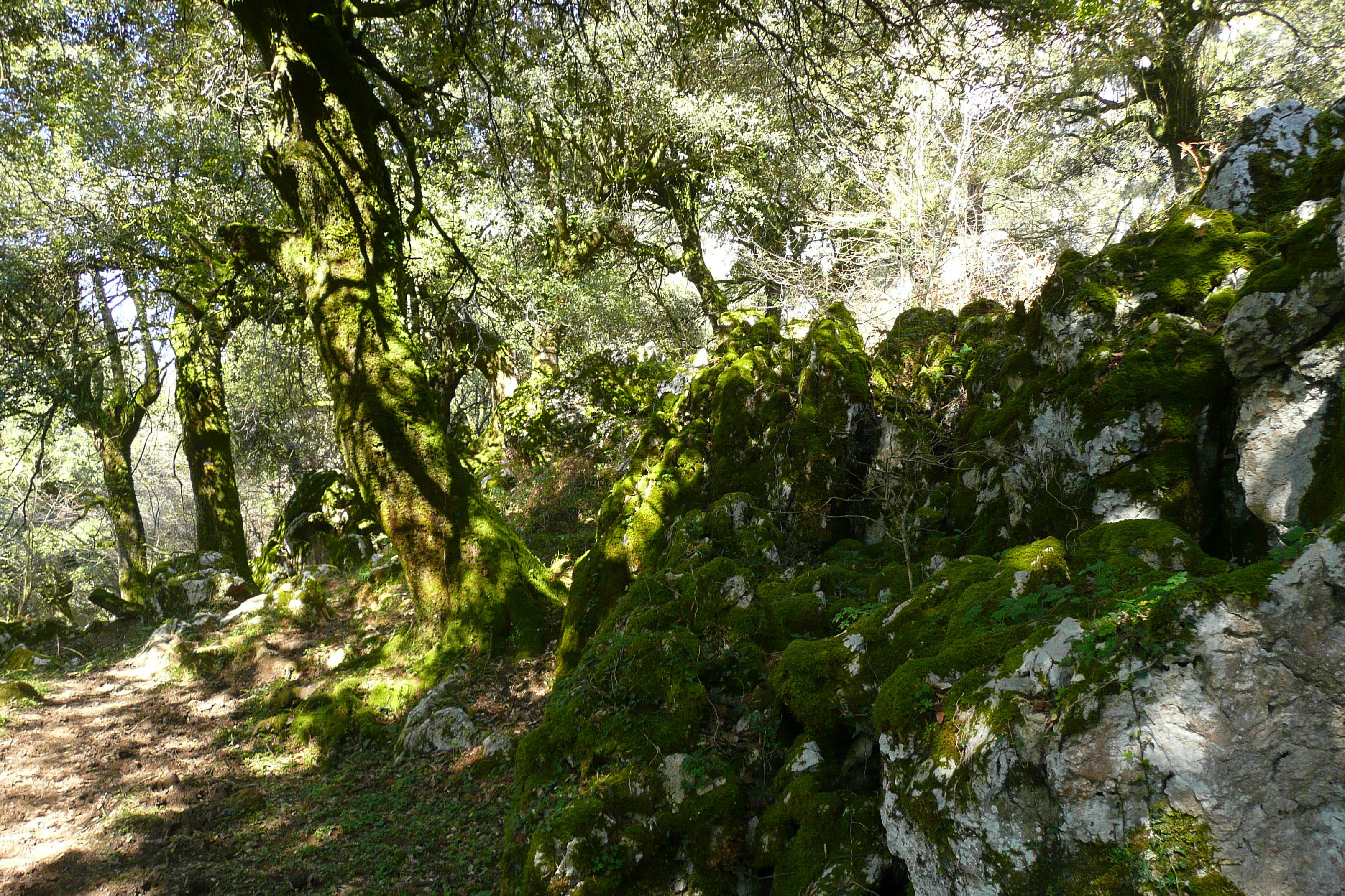 Parque Natural de Armañon, por Iago y Maca