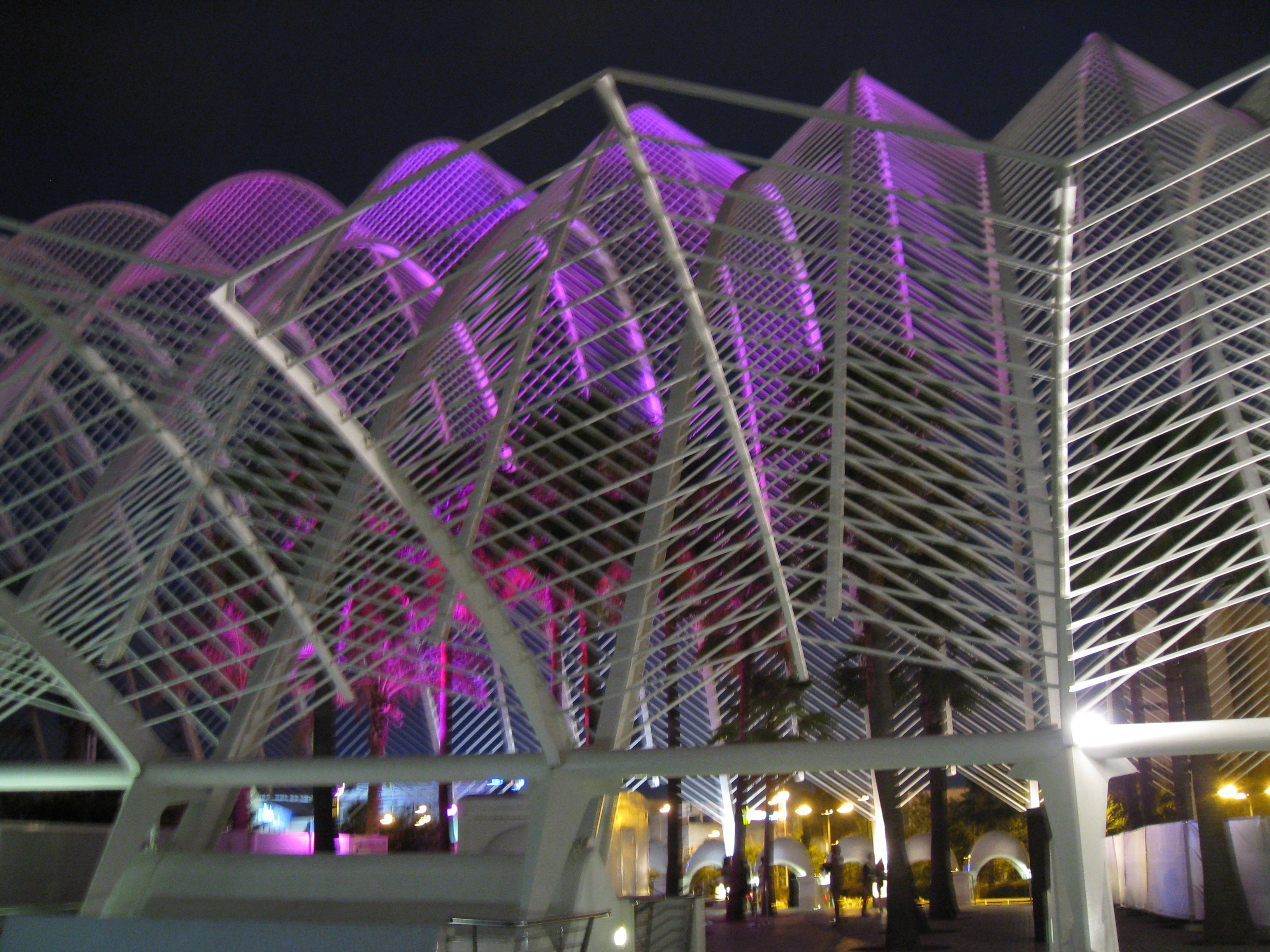 Discotecas en Valencia: descubre el ritmo de la noche valenciana