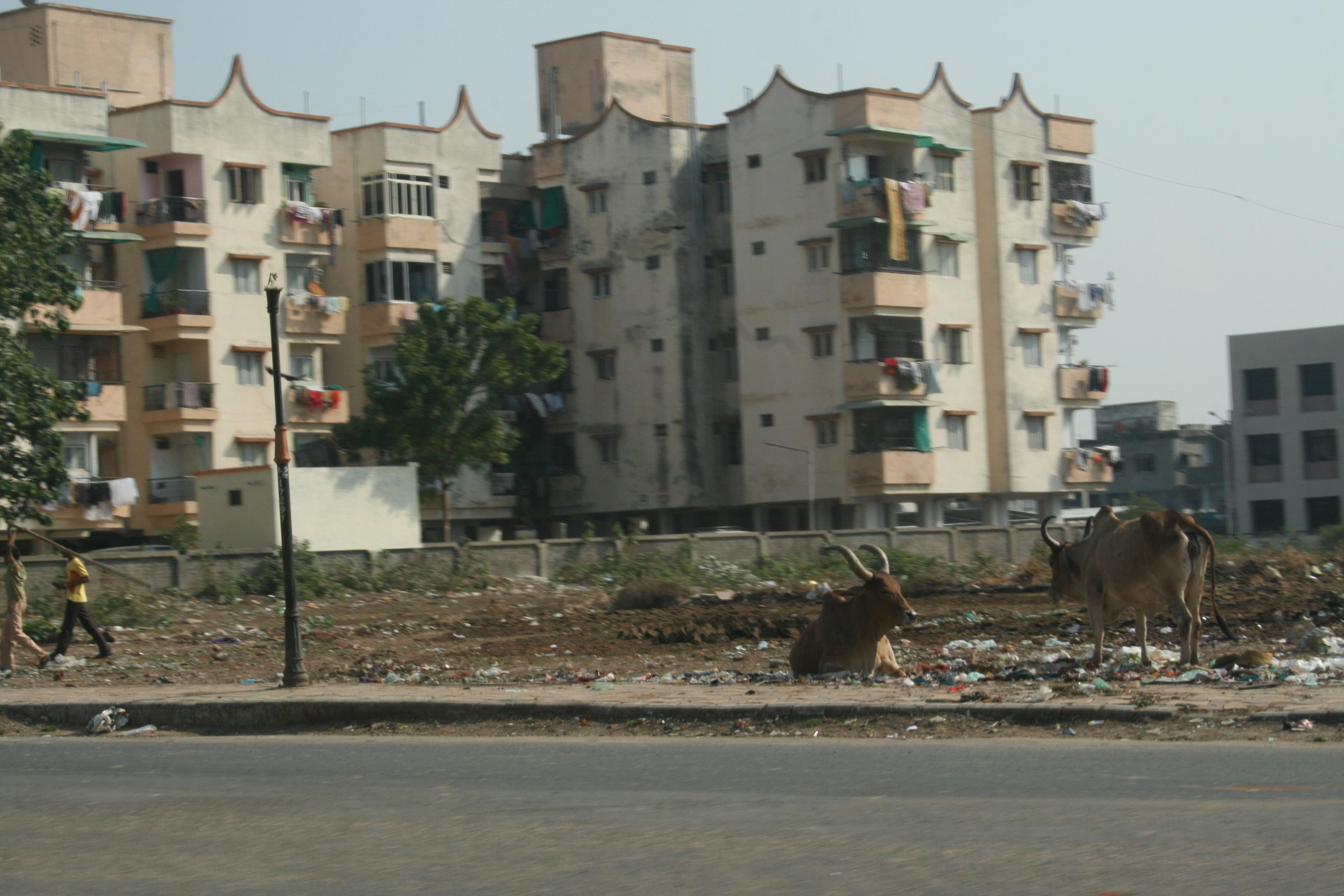 Ahmedabad, por Alfredo Sastre Rodríguez