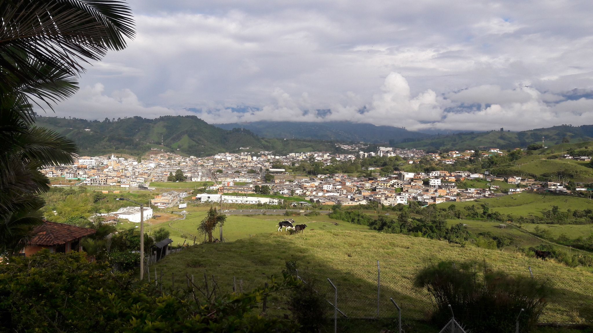 Miradores en Risaralda: descubre paisajes de ensueño y maravillas naturales