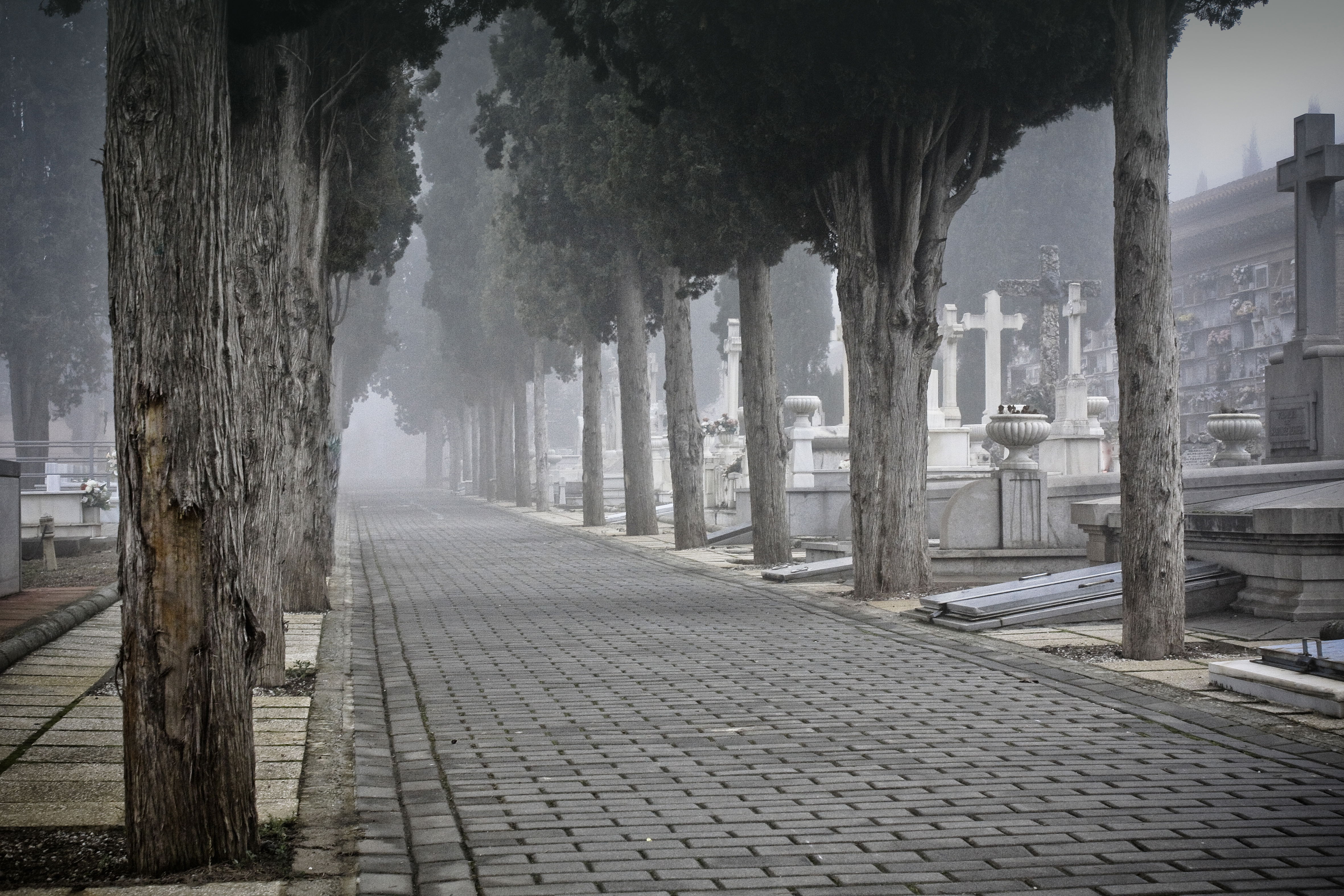 Cementerio de Granada, por tidus_20
