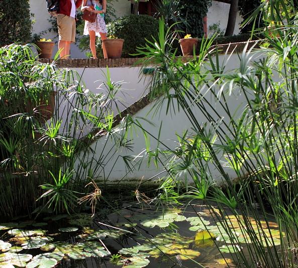 Inspírate con estos 15 jardines con estanques