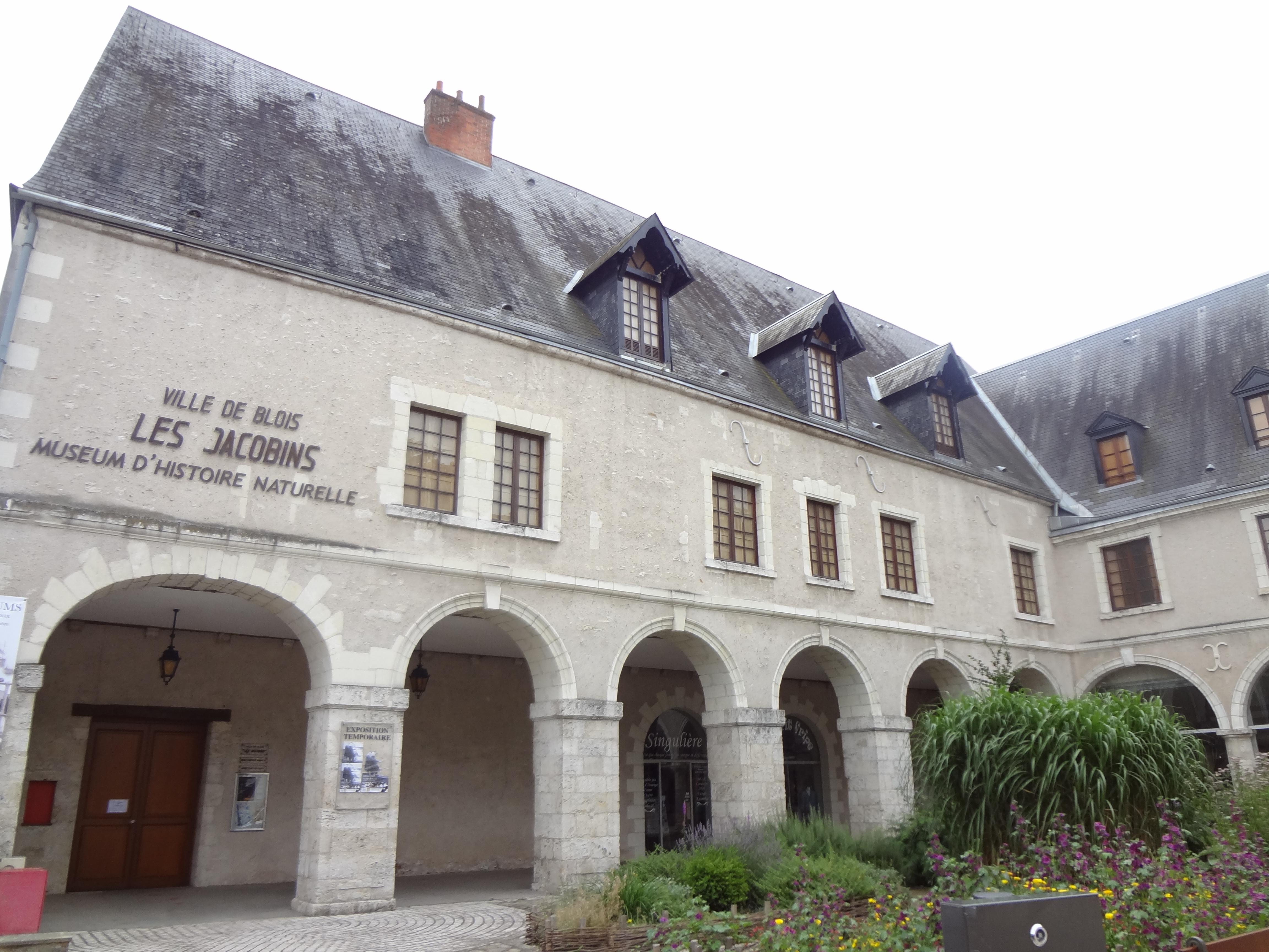 Convento de los Jacobinos, por Coline