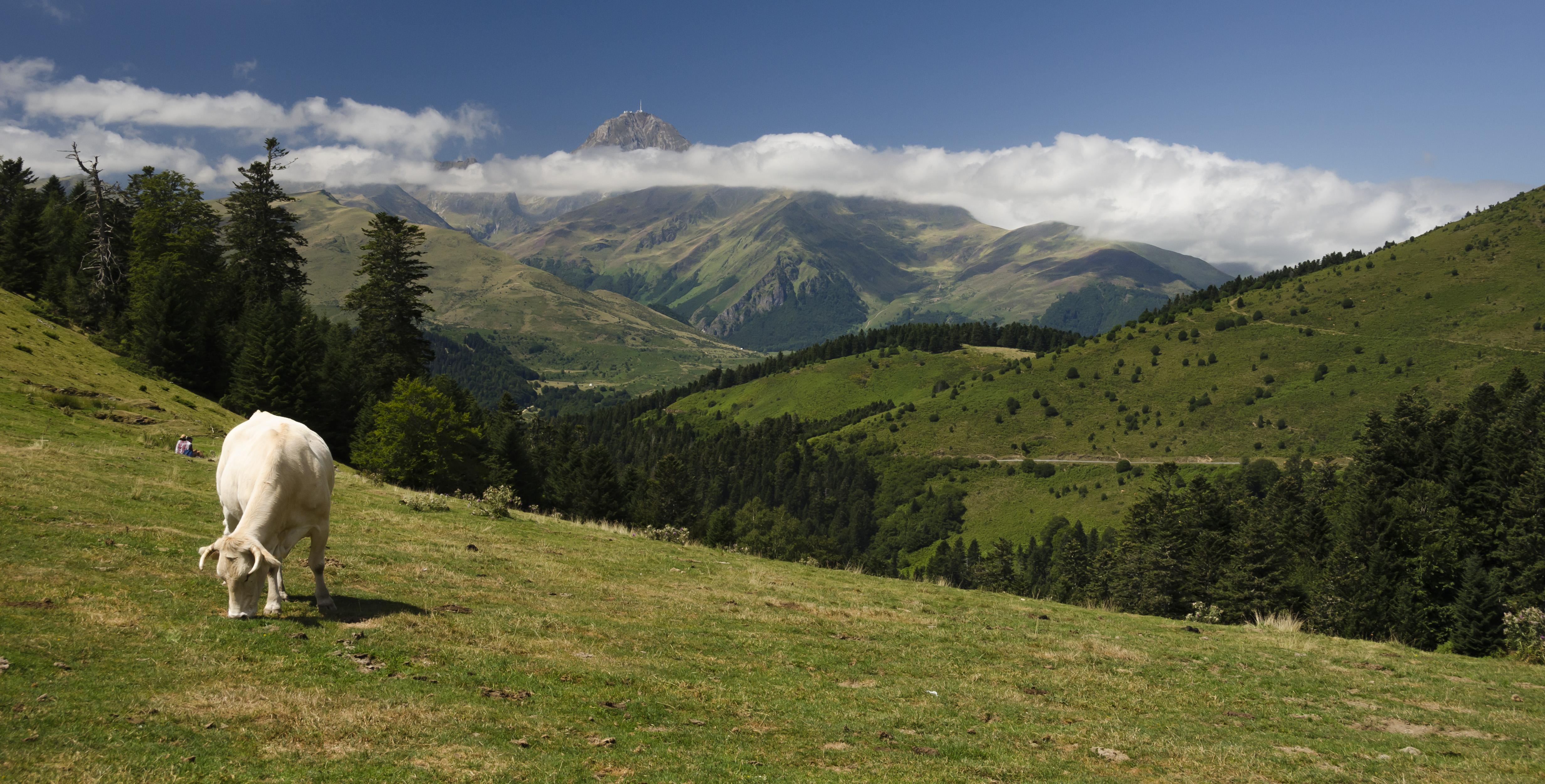 Descubre lugares de interés turístico en Mediodía-Pirineos y su encanto