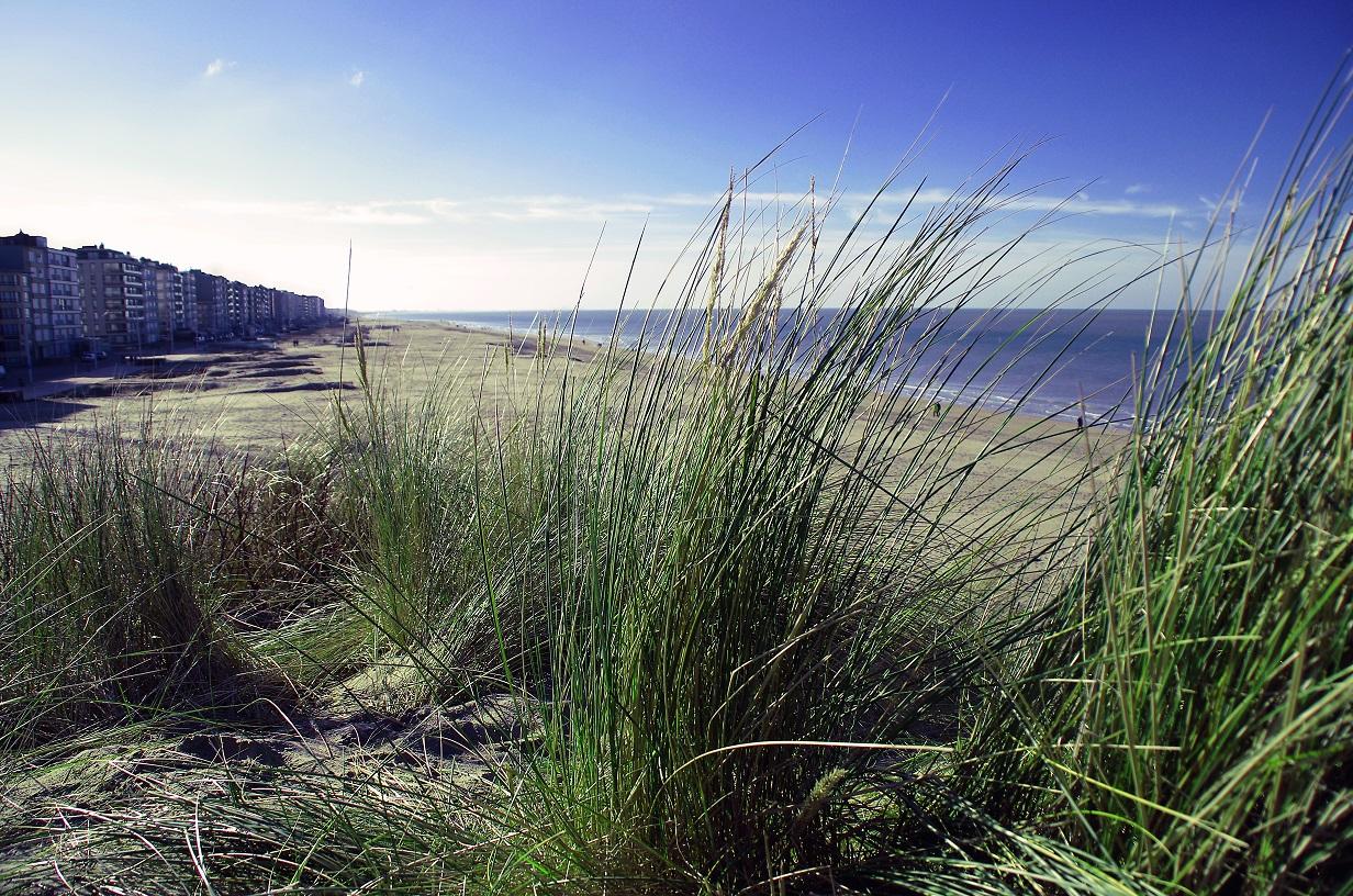 Dunas de la Panne, por Grégoire Sieuw