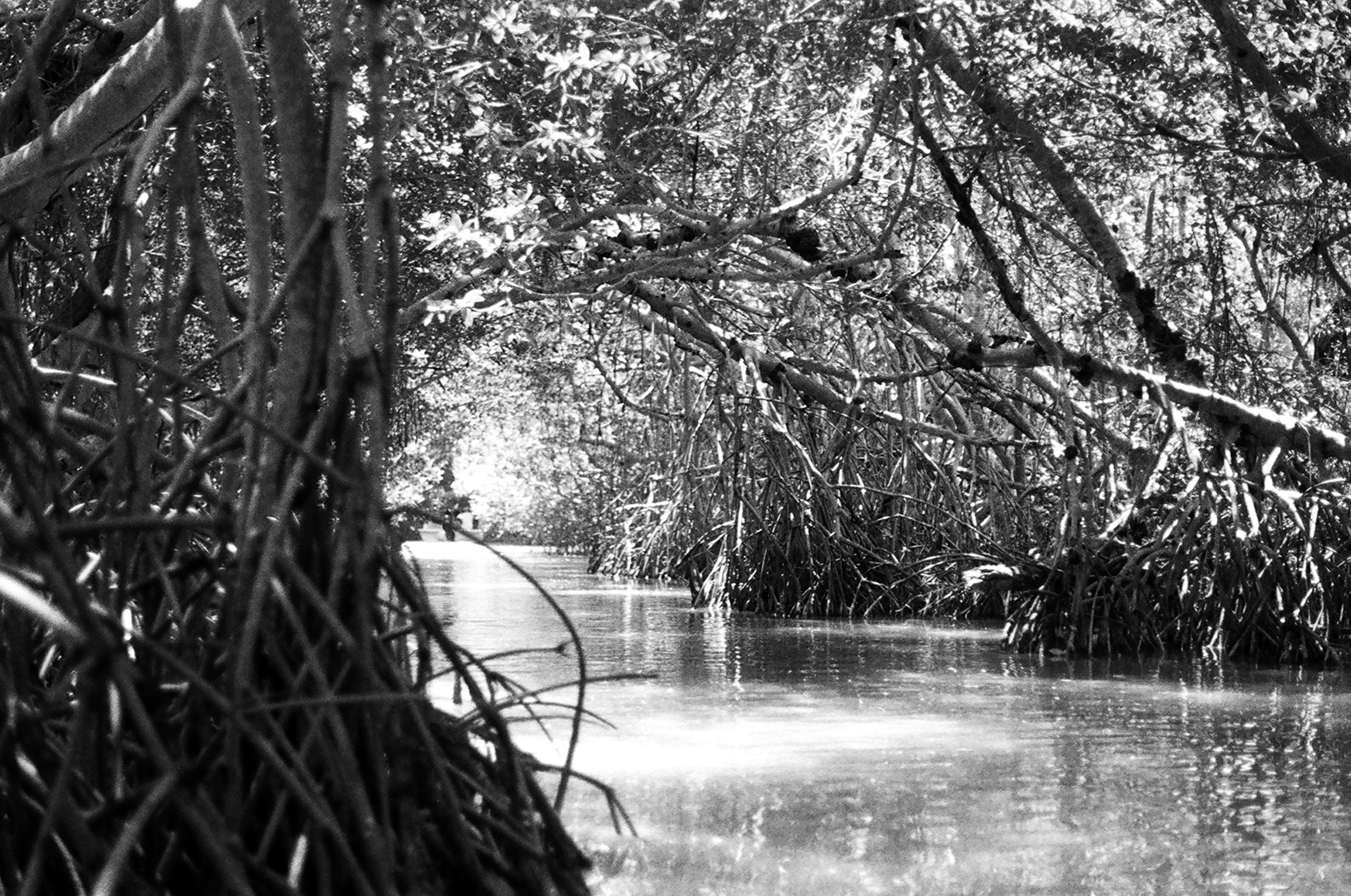 Playas de Yucatán donde el paraíso y la tranquilidad se encuentran