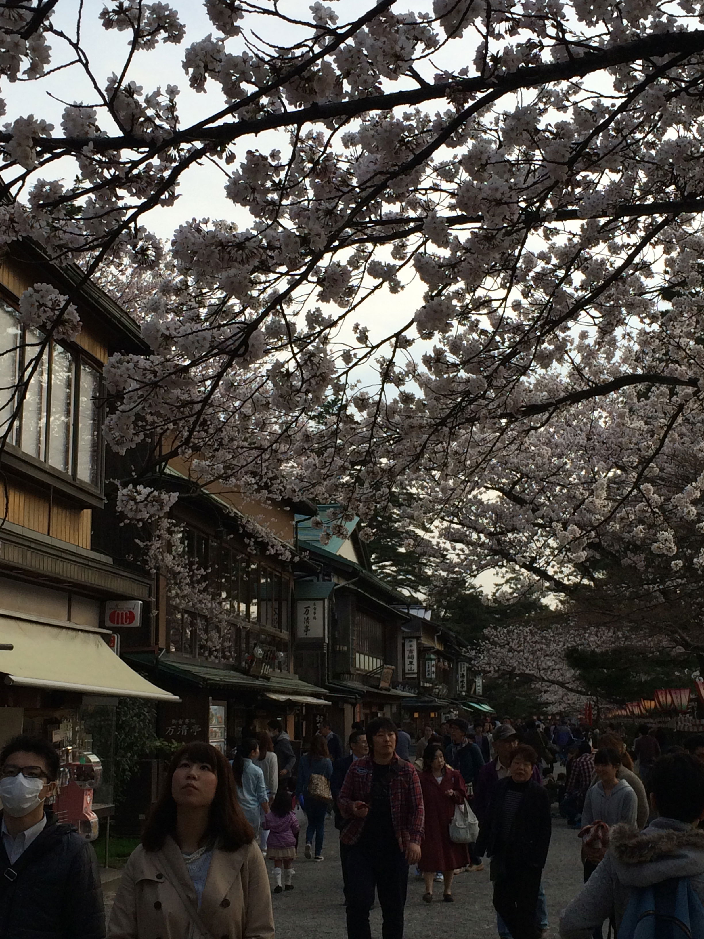 Kenrokuen Onsen, por Lídia Montes de Oca