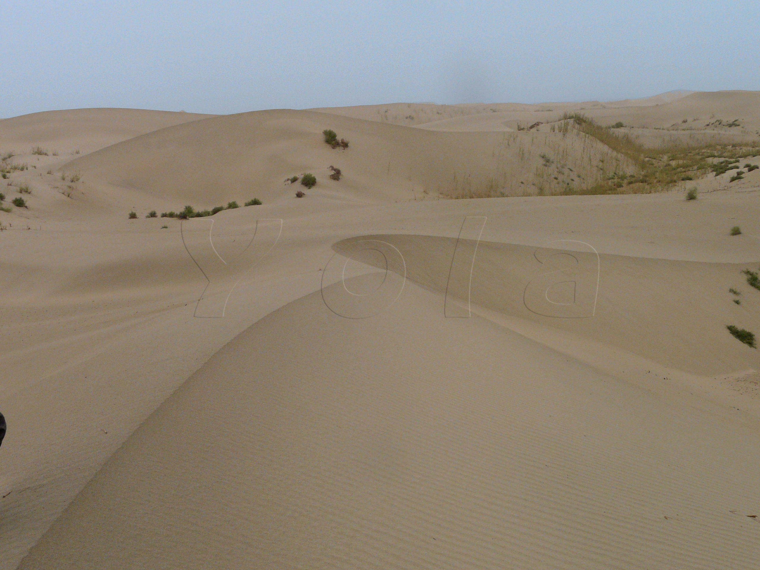 Desiertos en China: esplendor y misterio en paisajes inhóspitos