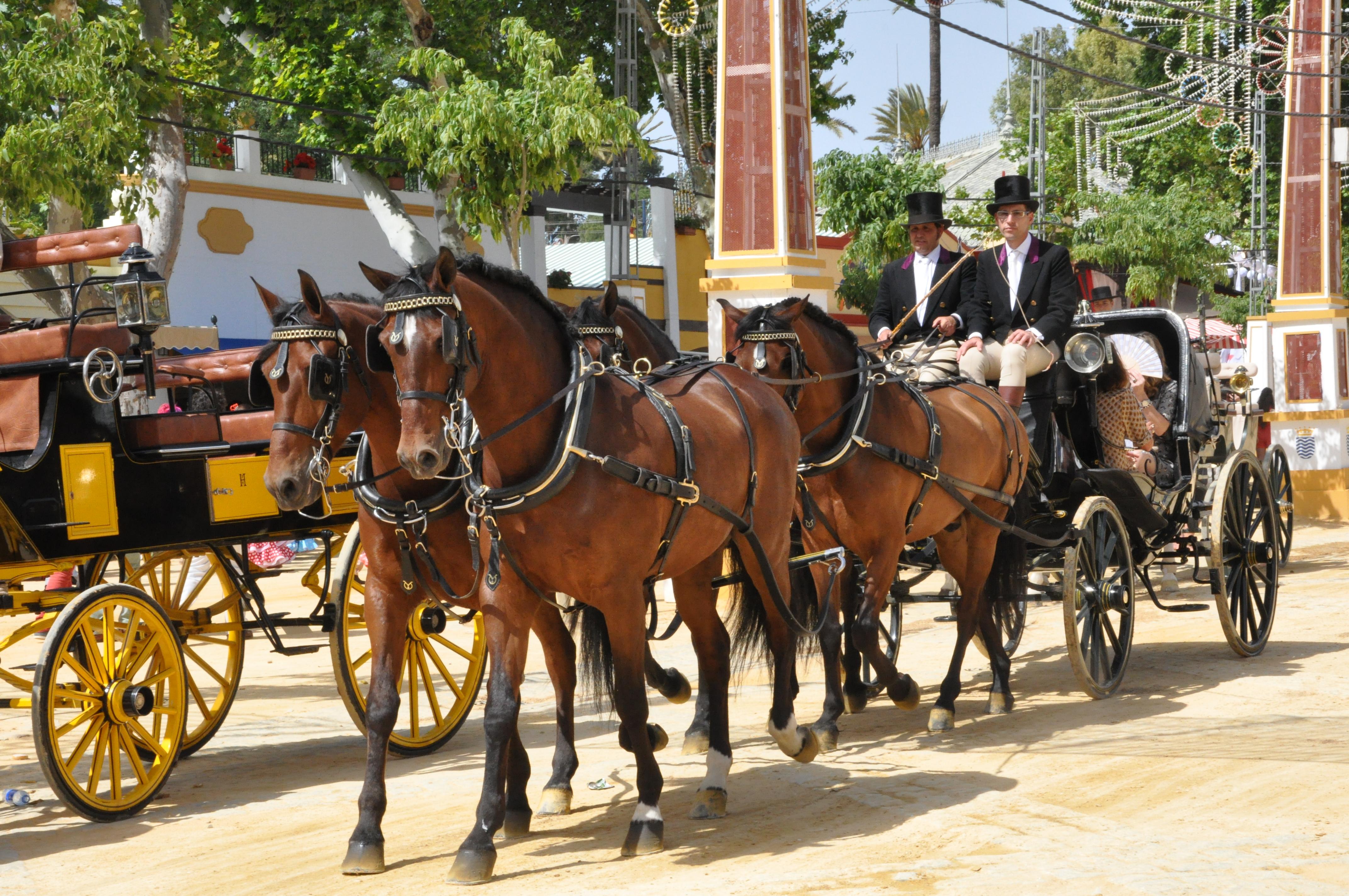 Fiestas en Andalucía: un viaje por las tradiciones más vibrantes