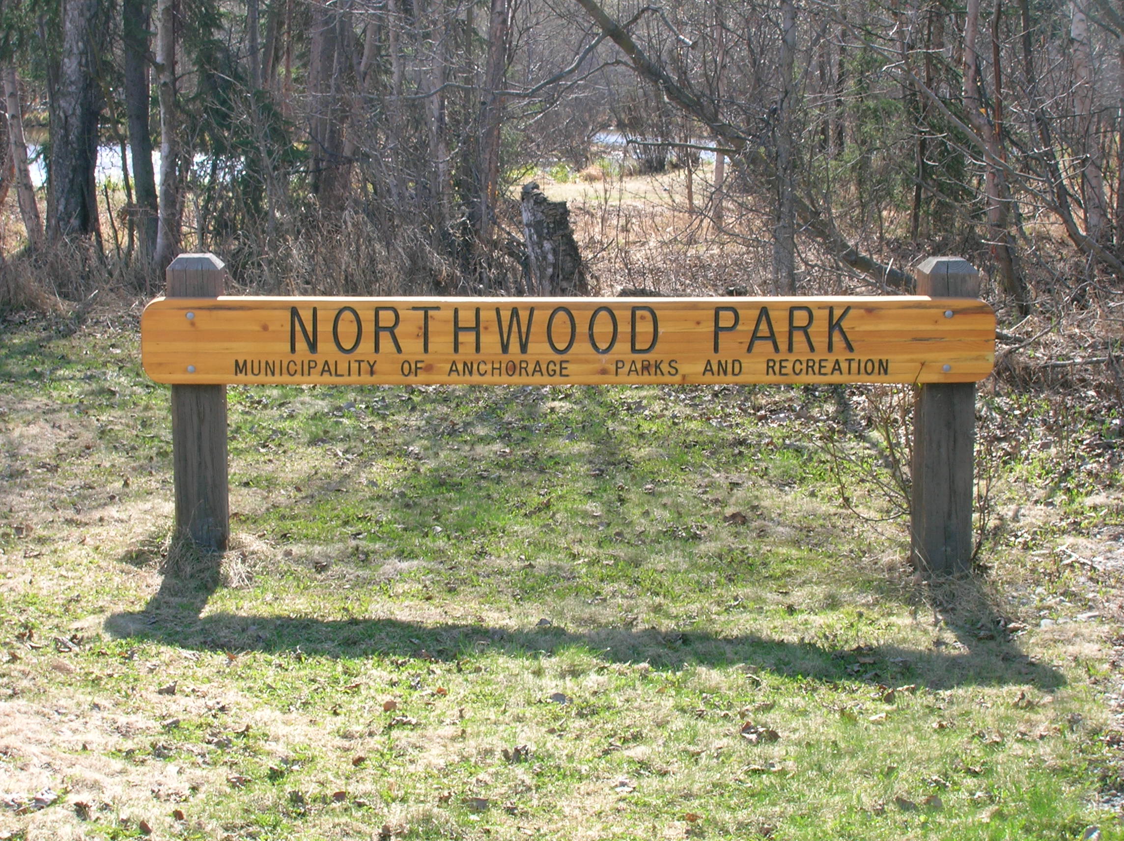 Northwood Park, por Grace Anderson