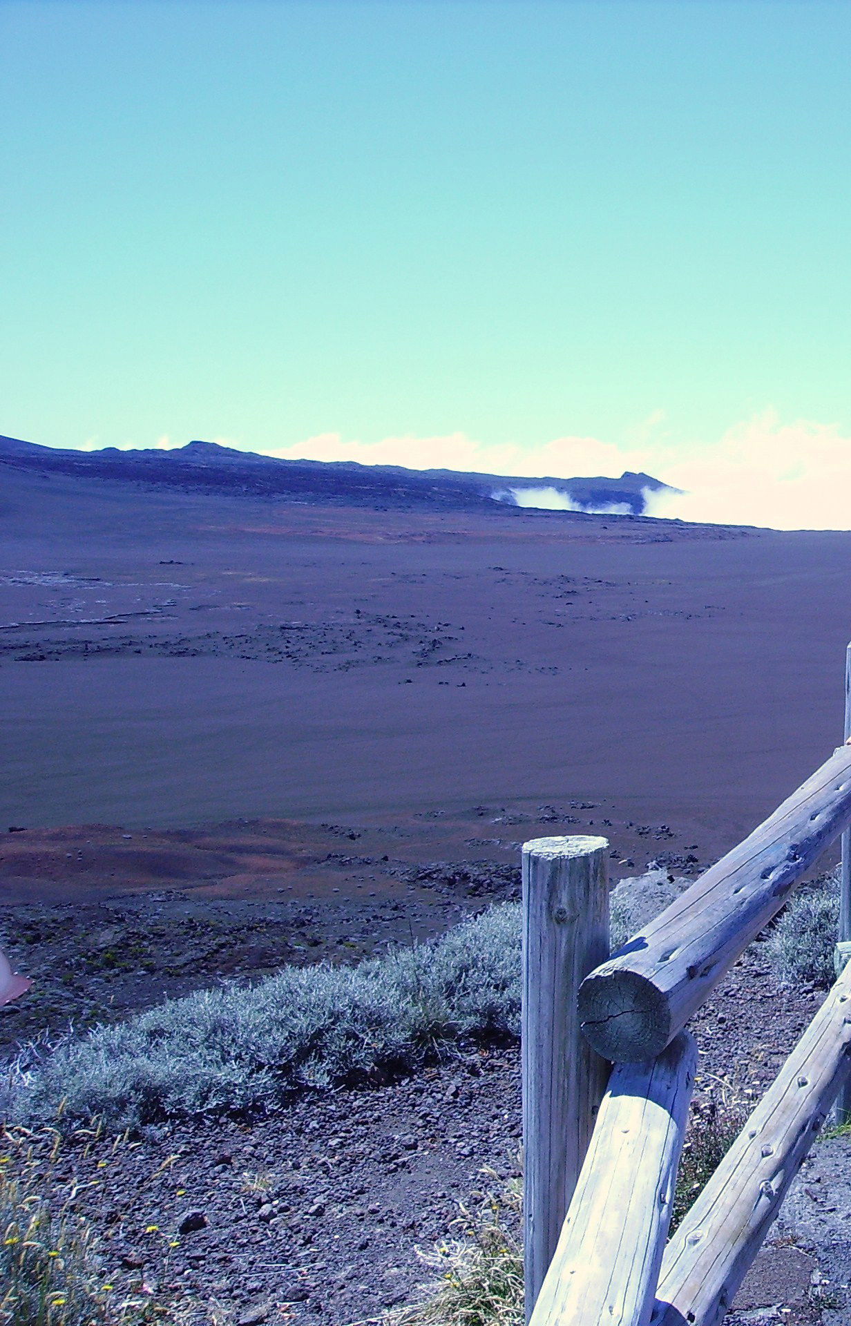 Plaine des sables, por Marine BOHIN