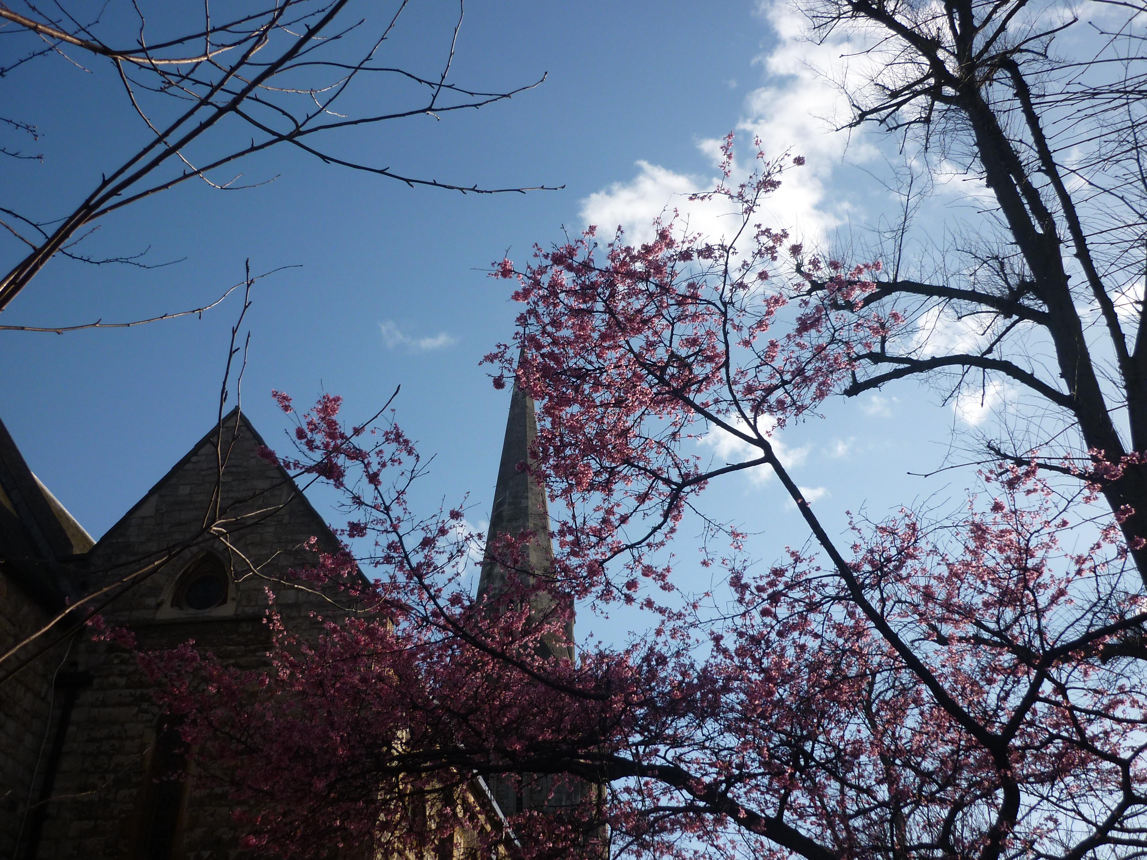 Saint Mark Church, por Anaïs Ballanger
