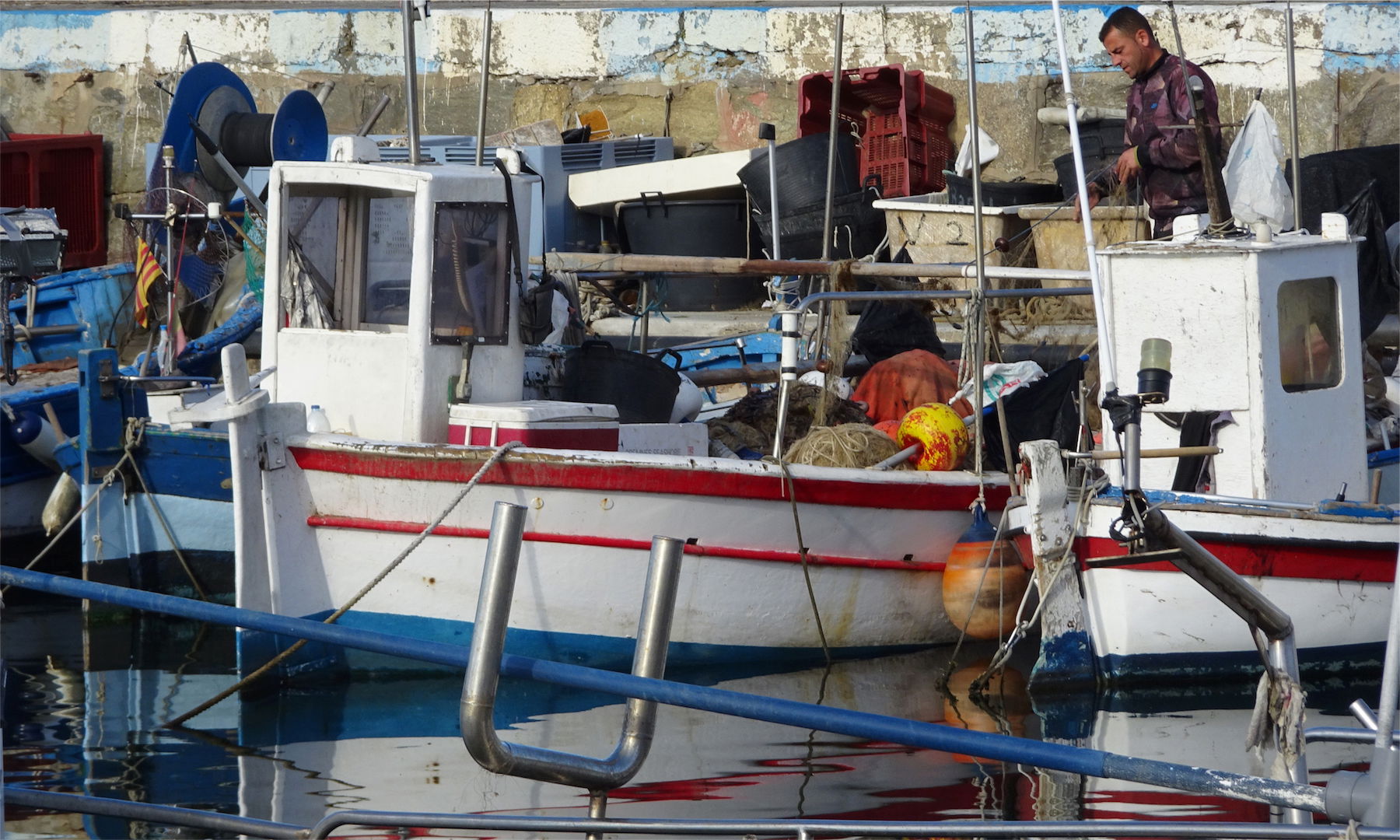 Port de roses, por Rosa Maria Rifà Farrès
