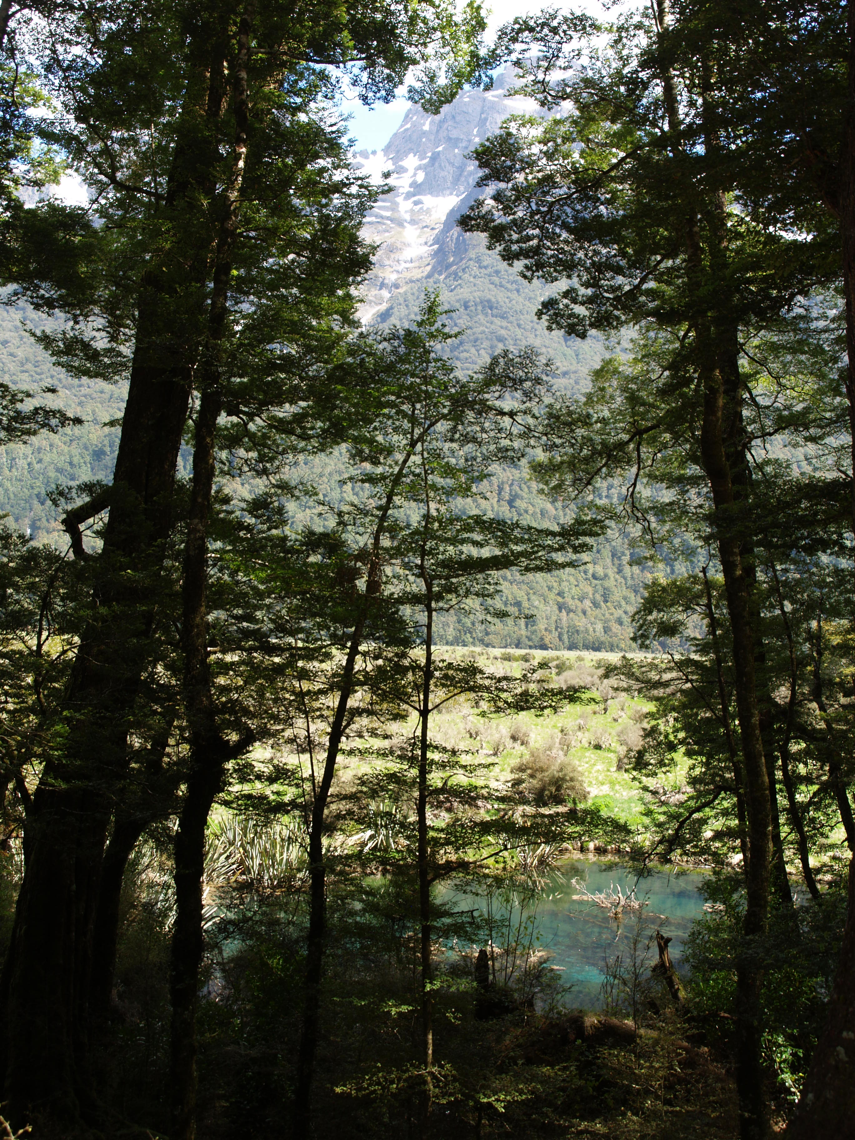 Carretera de Te Anau hasta Milford Saound, por Mariana Vozone