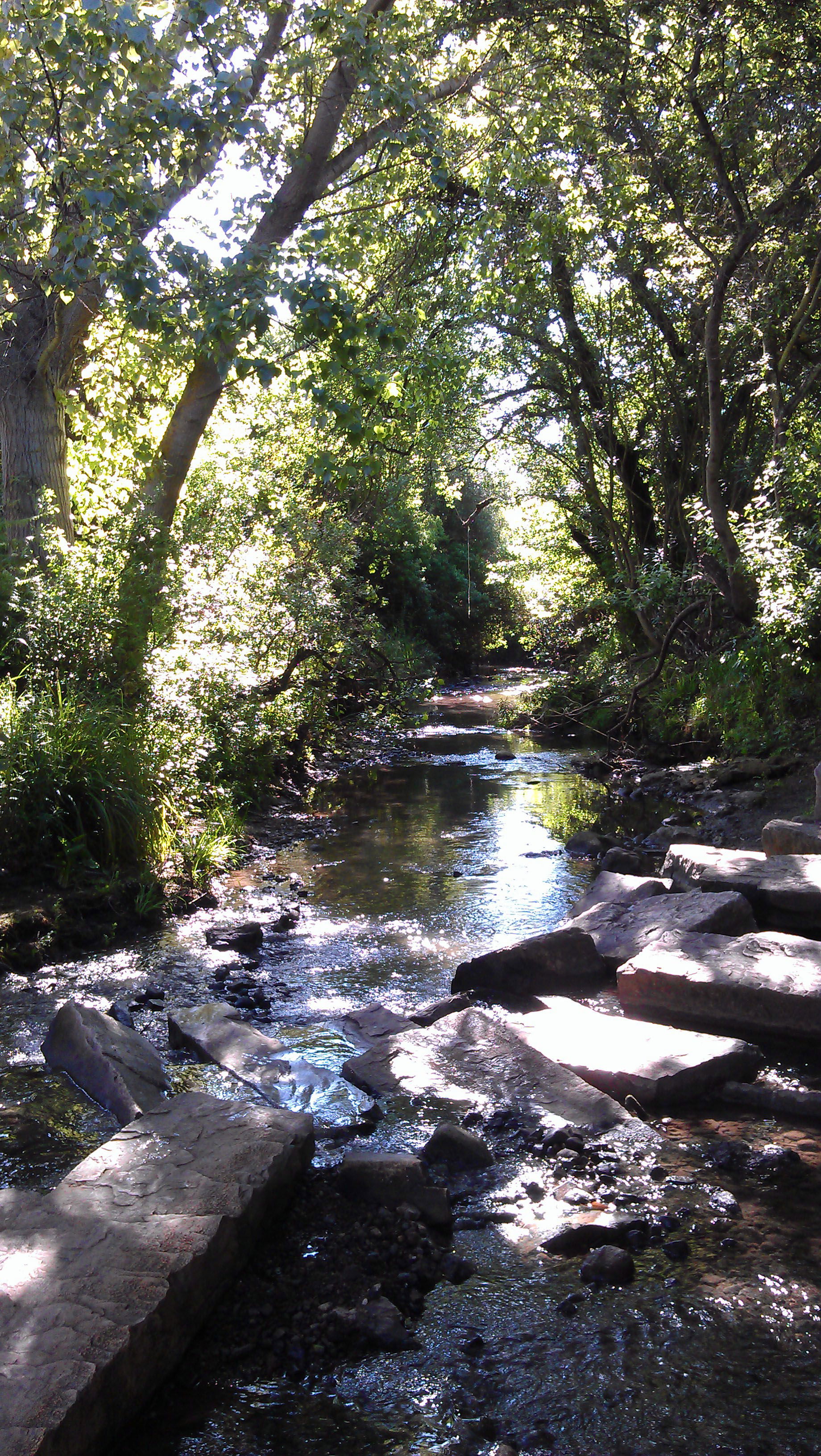 Parque Fluvial Río Pícaro, por Vilches