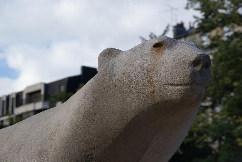 Oso blanco, por Antoine D'Audigier