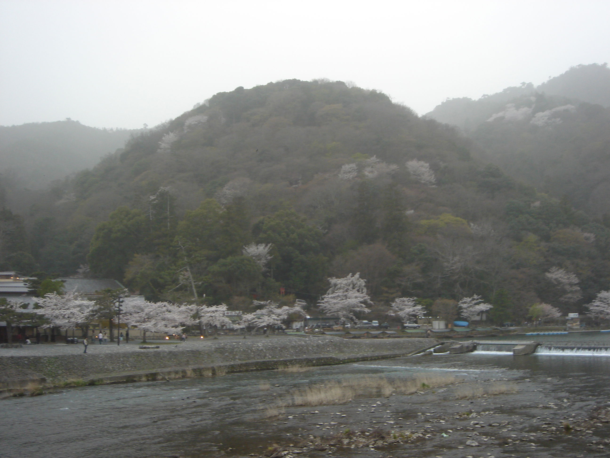 Arashiyama, por David Esteban