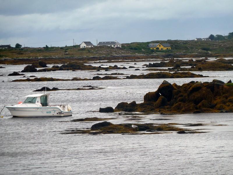 Playa Carraroe, por Alicia Ortego