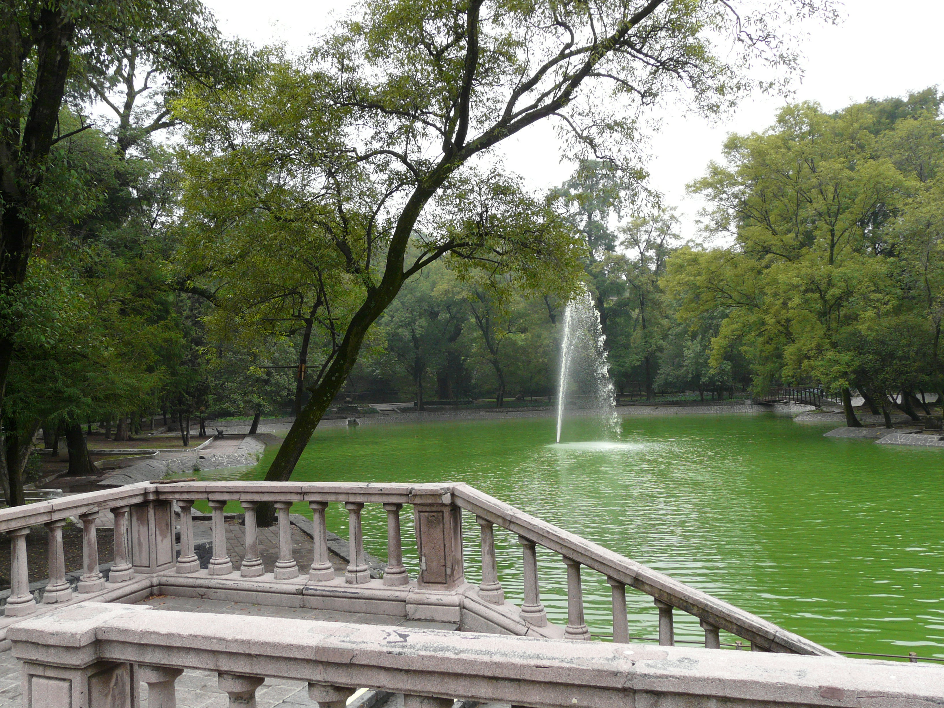 Lago de Chapultepec, por Pedro Jareño