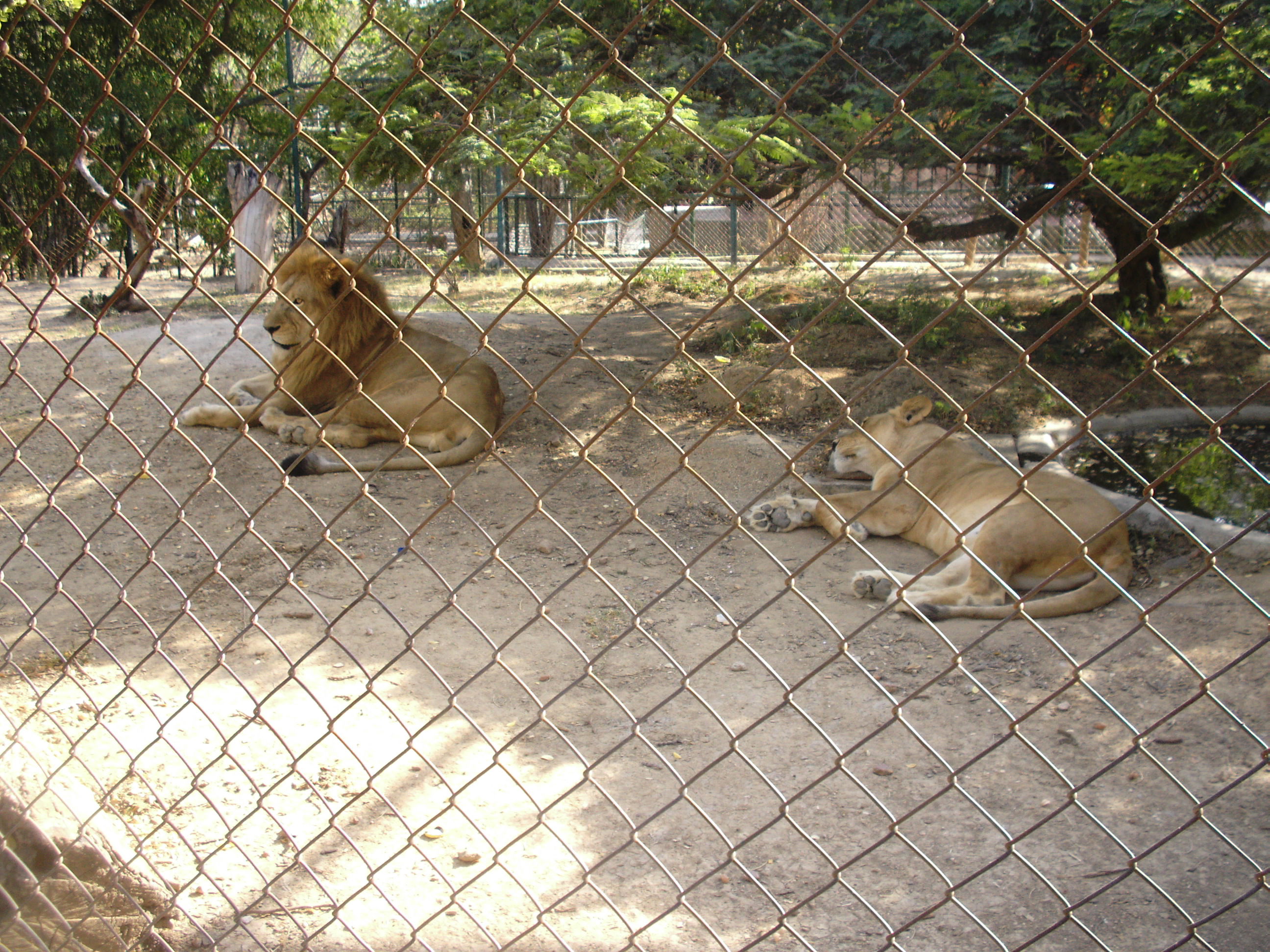 Parque Bararida Zoologico Barquisimeto, por PLACIDO BECERRA