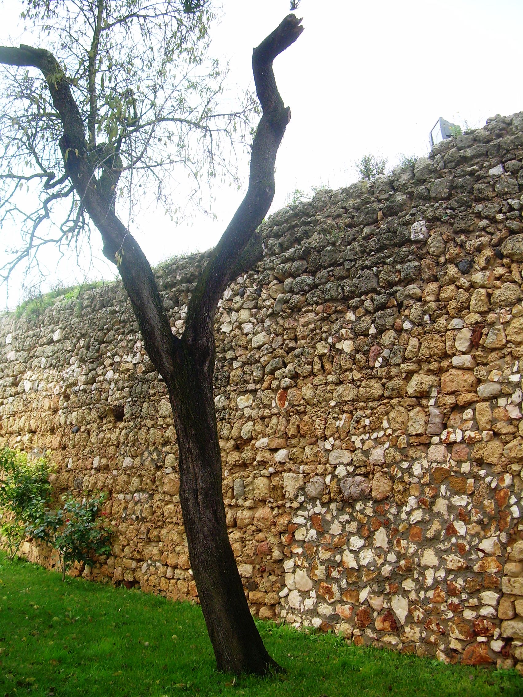 Castelo de Alvor, por meninha