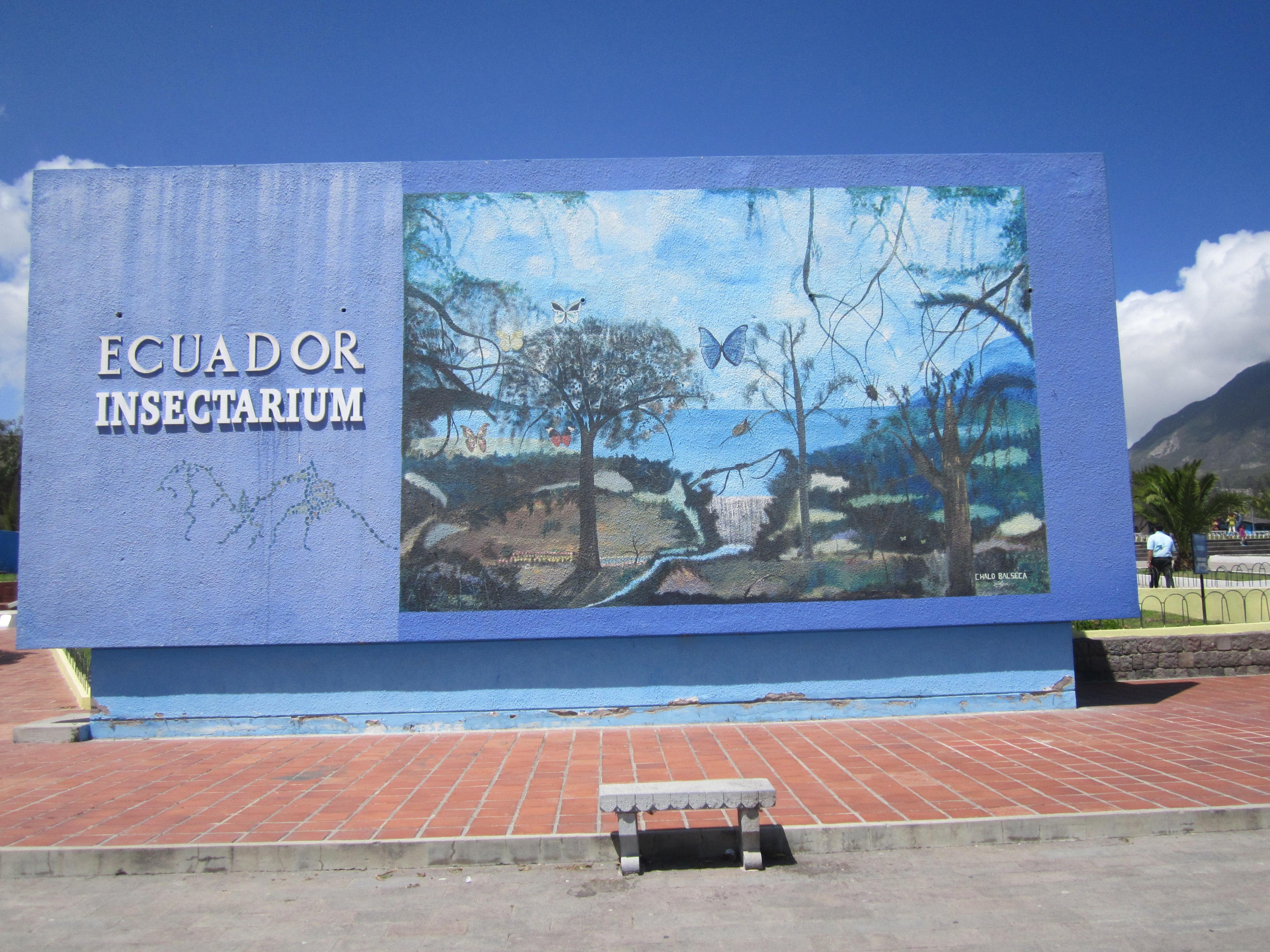 Zoos en Ecuador: aventura y conservación en sus mejores espacios