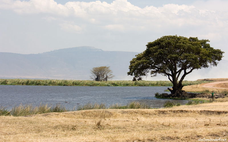 Zona de picnic de Ngoitokitok, por Un Cambio de Aires