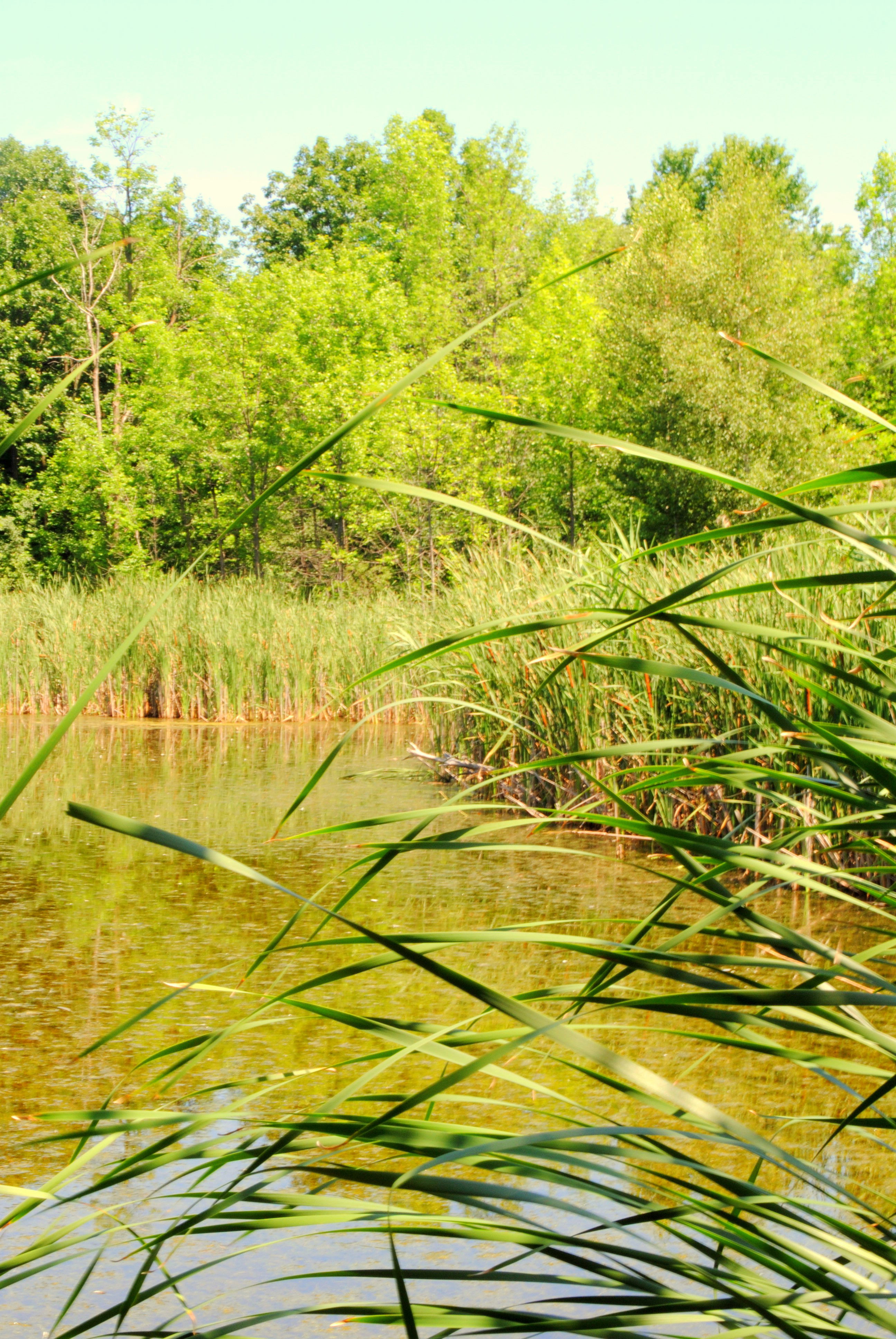 Parque regional de Longueuil, por Grégoire Sieuw