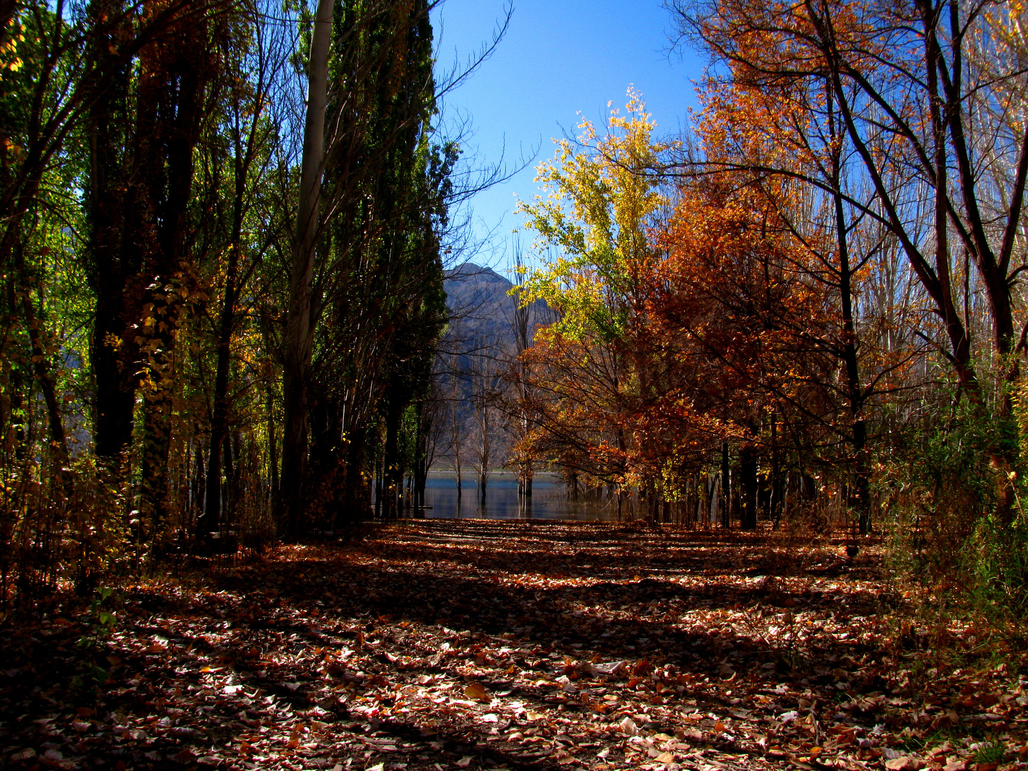 Potrerillos, por German Pelegrina