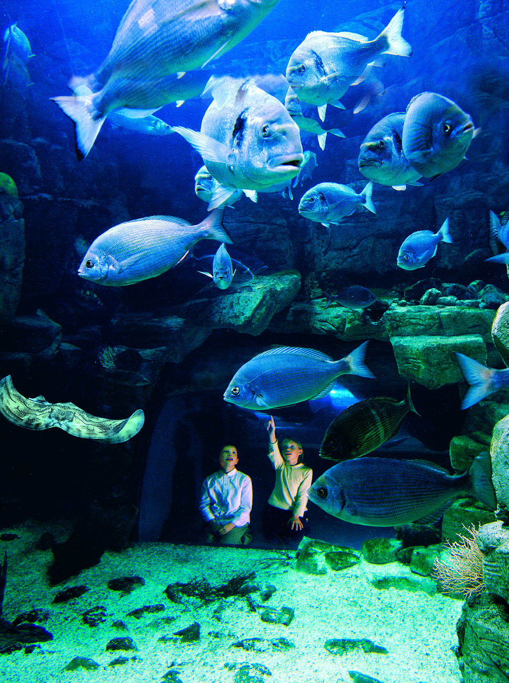 Aquarium La Rochelle, por Poitou-Charentes
