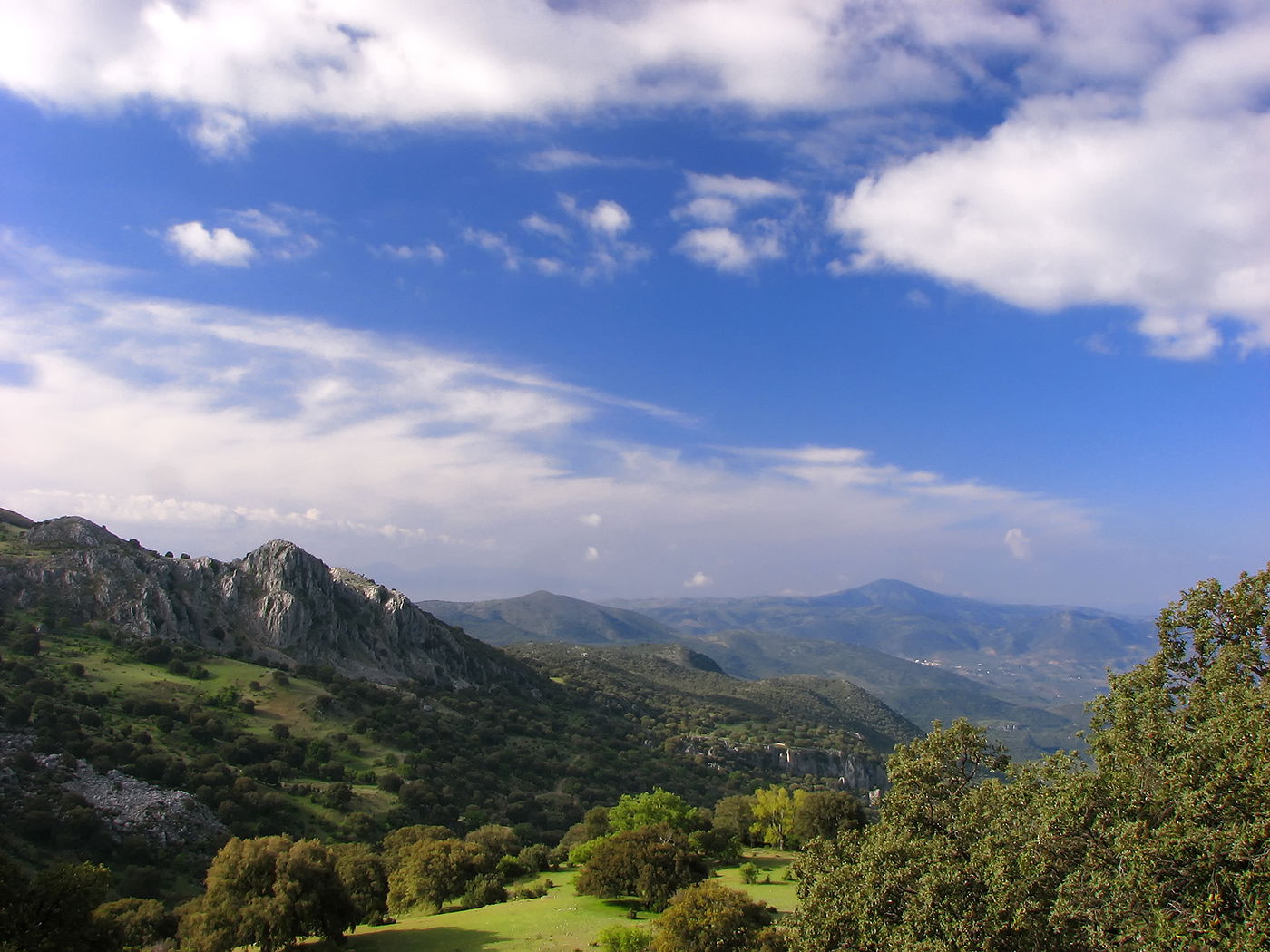 Arroyo de los prados, por jose maria murillo roldán