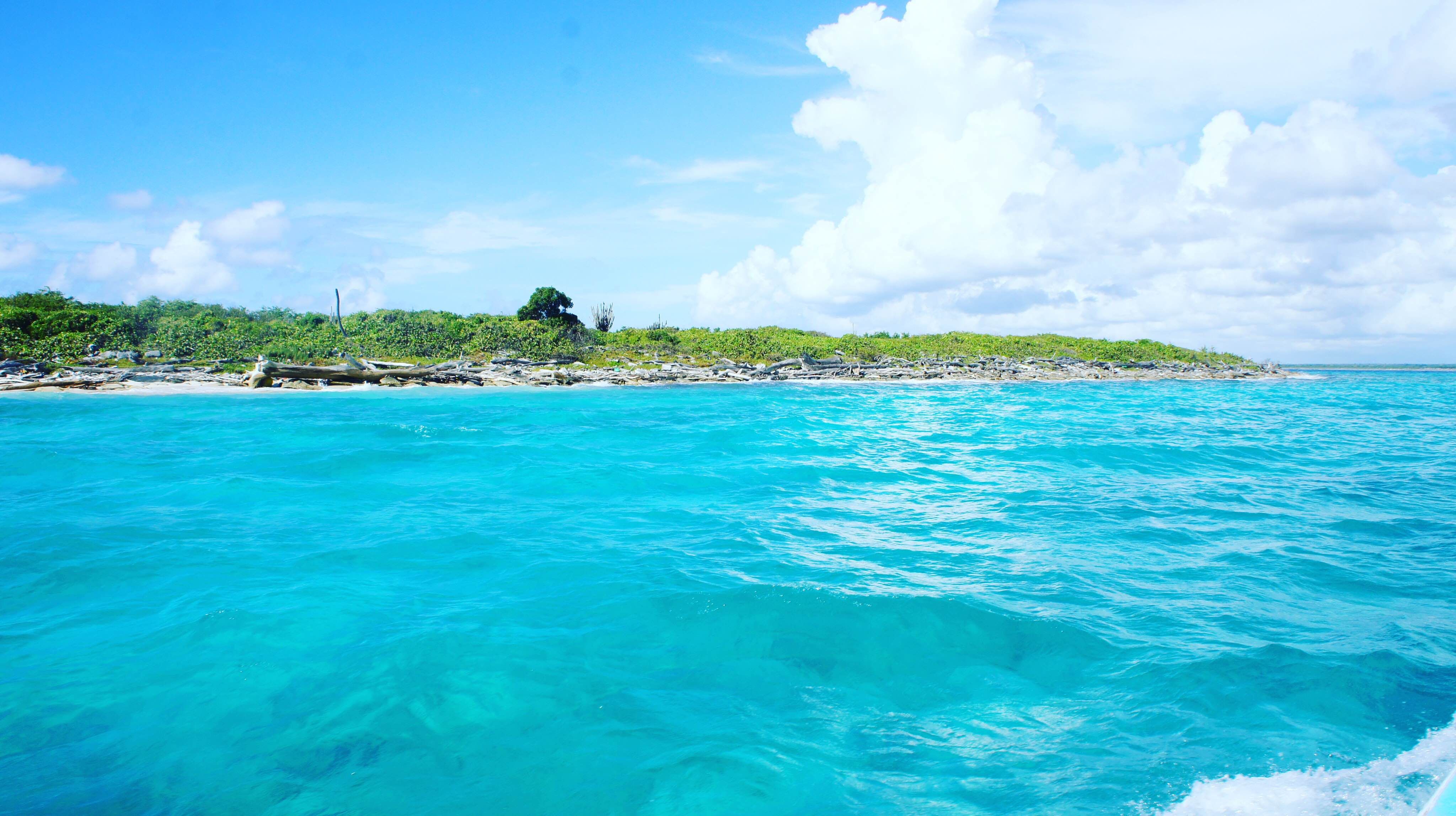 excursion a isla catalina desde punta cana