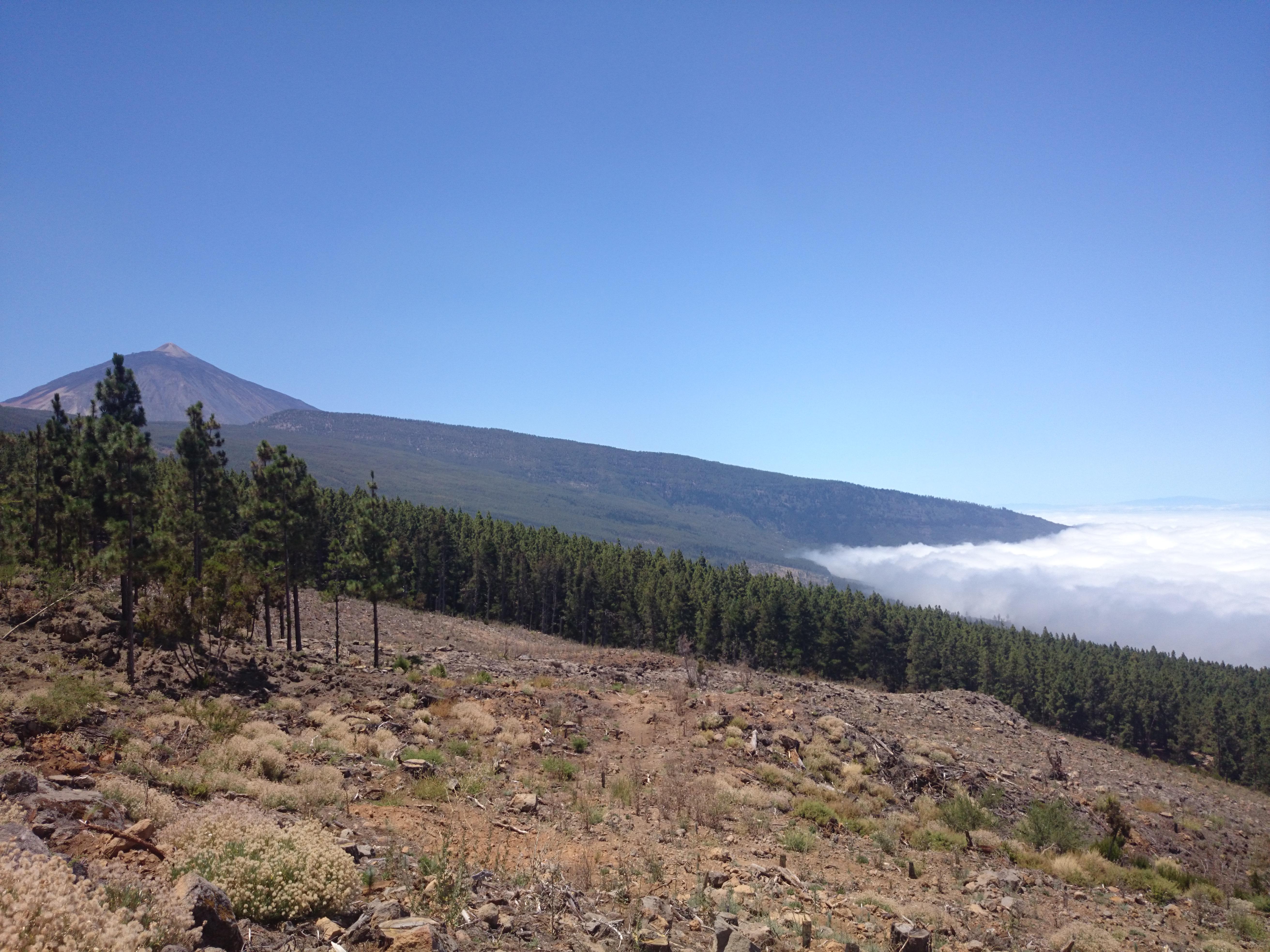 Miradores en La Orotava que deslumbrarán tus sentidos y vistas