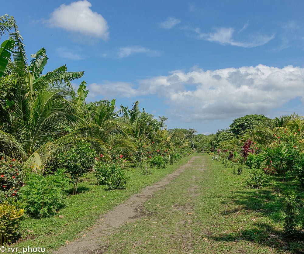 Reserva Natural Charco Verde, por Rafael Vilches