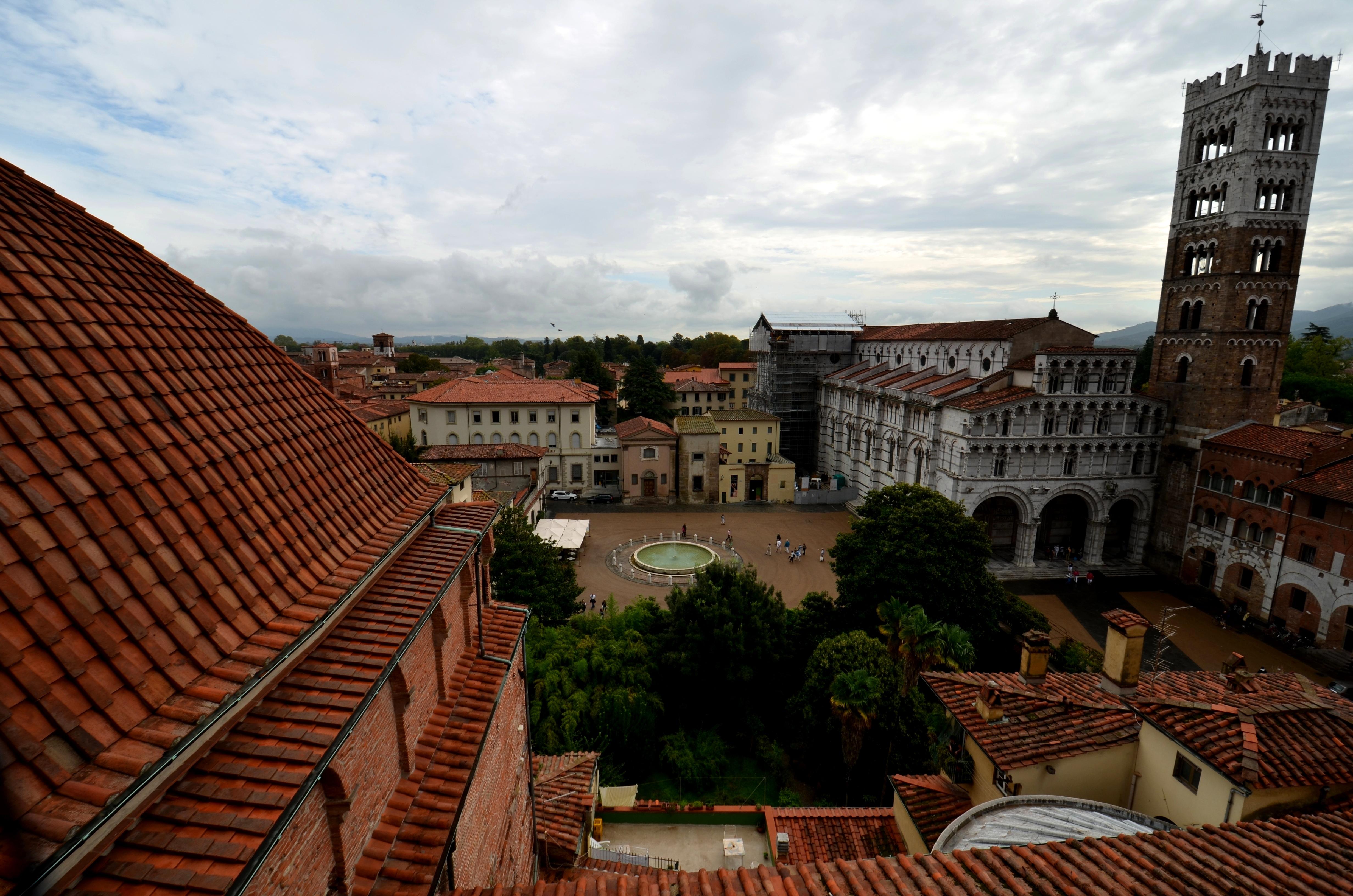 Lucca, por Alves Ferrão