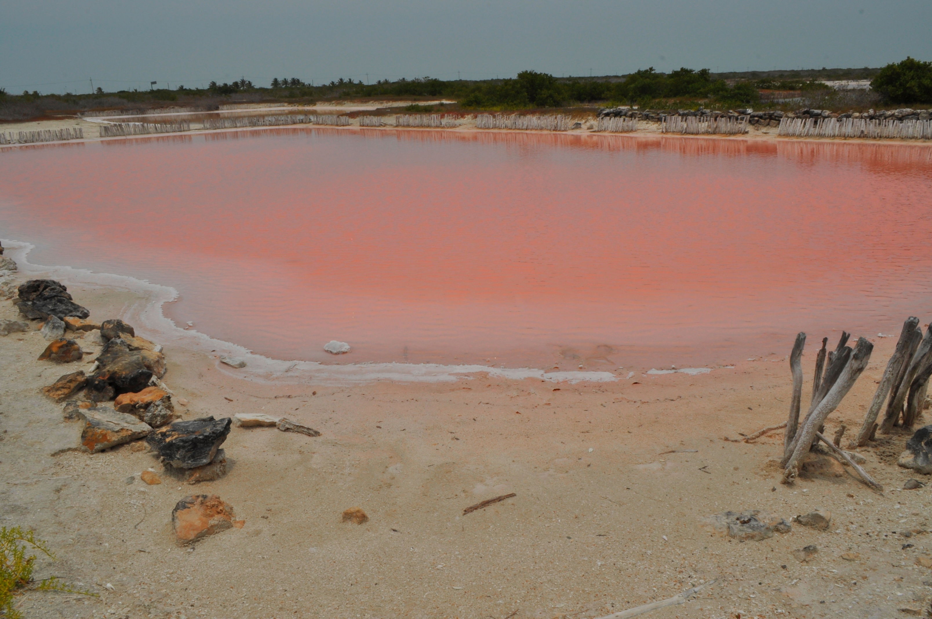 Las Coloradas, por Vale Avila